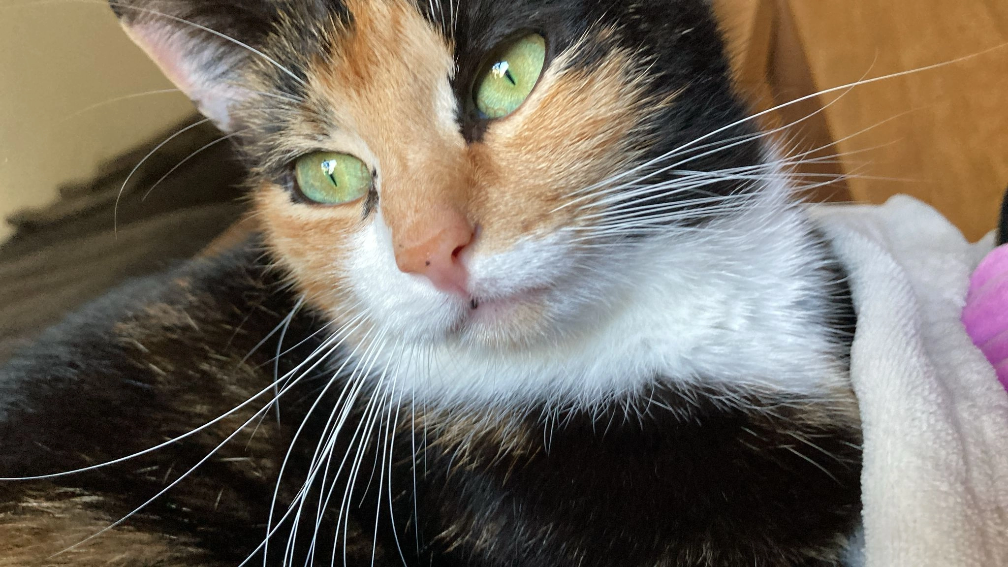 Evie - Hauptstraße, Hemer