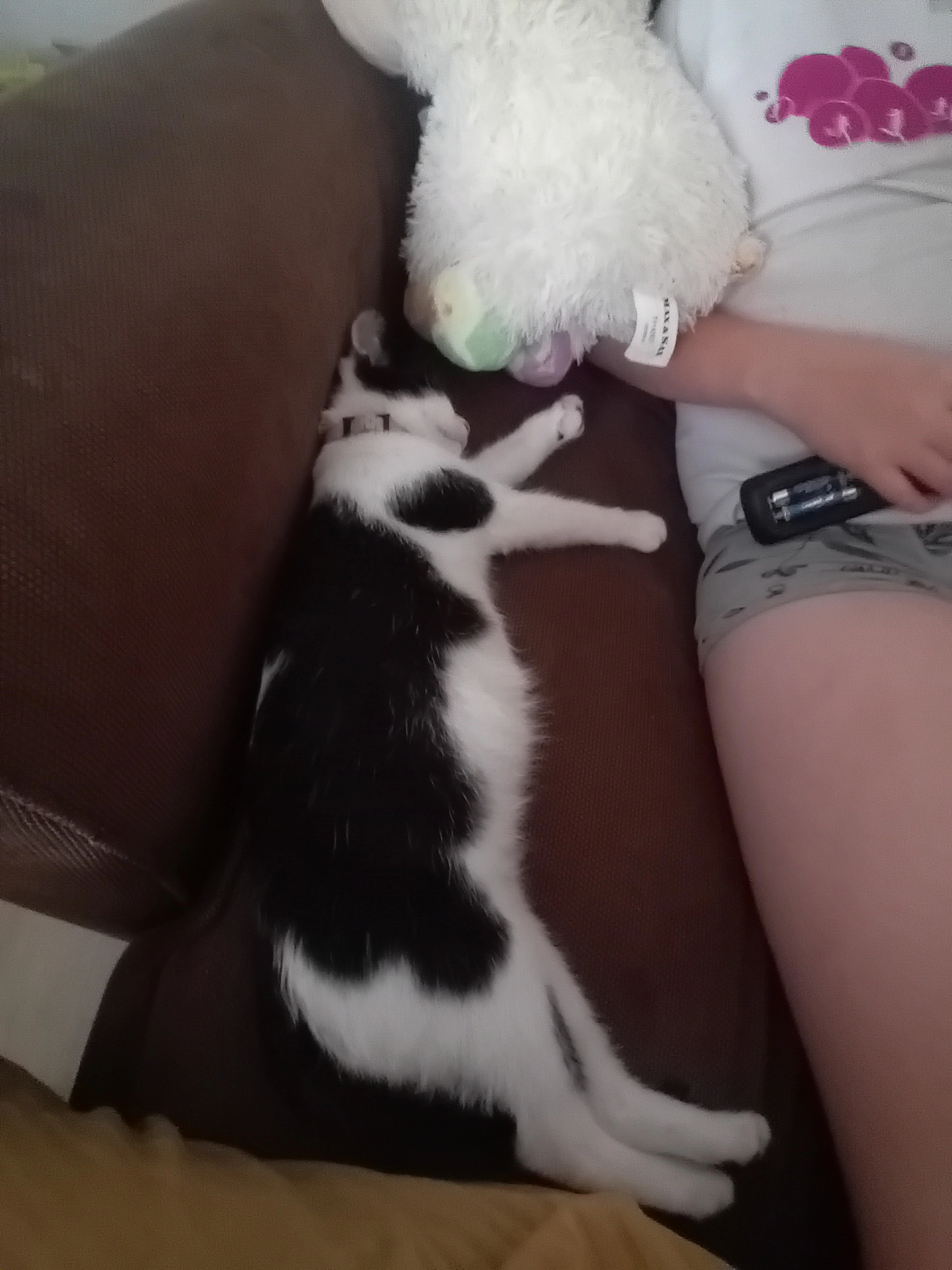 Félix - 1 Rue de la Forge, Houdan