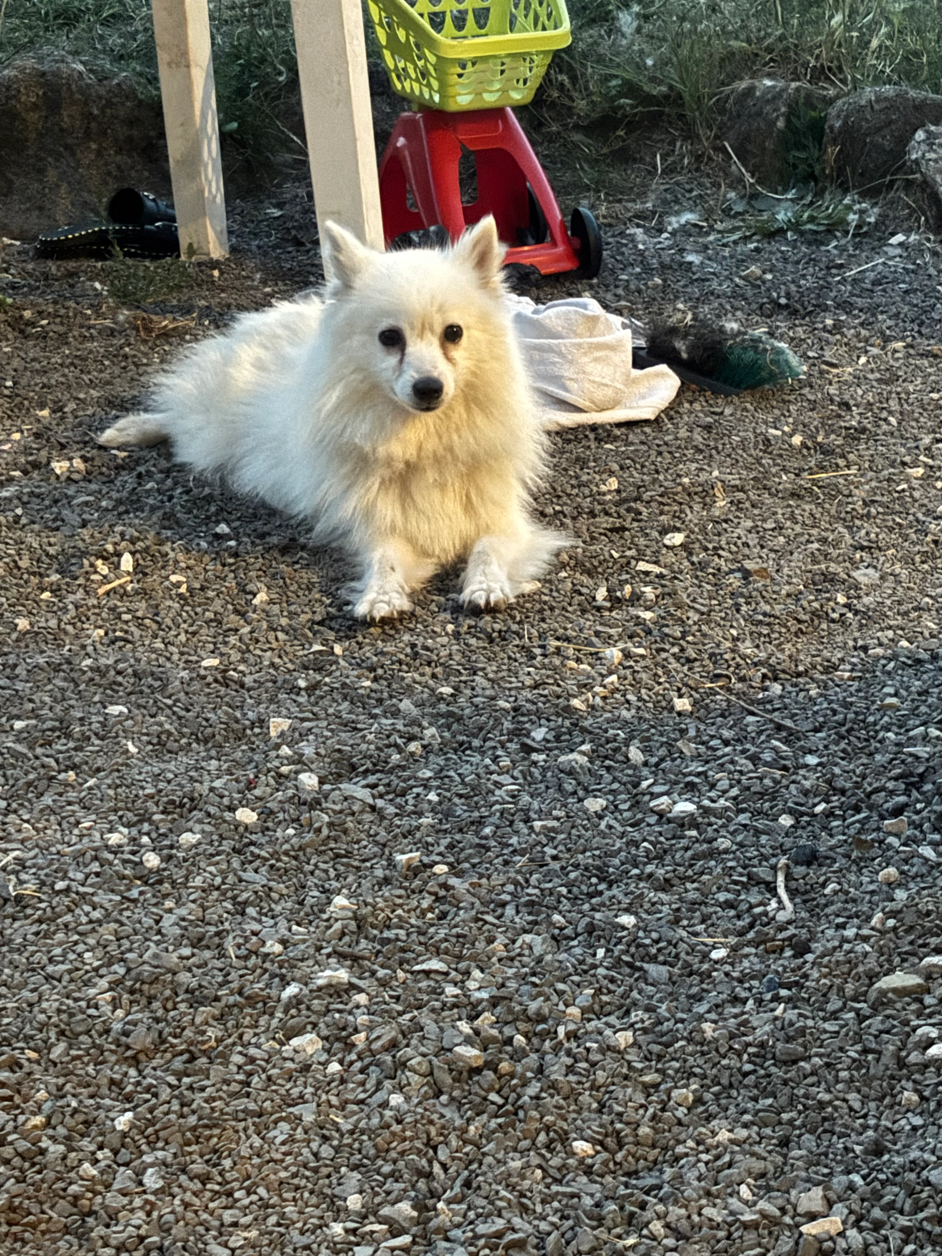 Belle - 8 Impasse Montcy Notre-Dame, Nueil-les-Aubiers