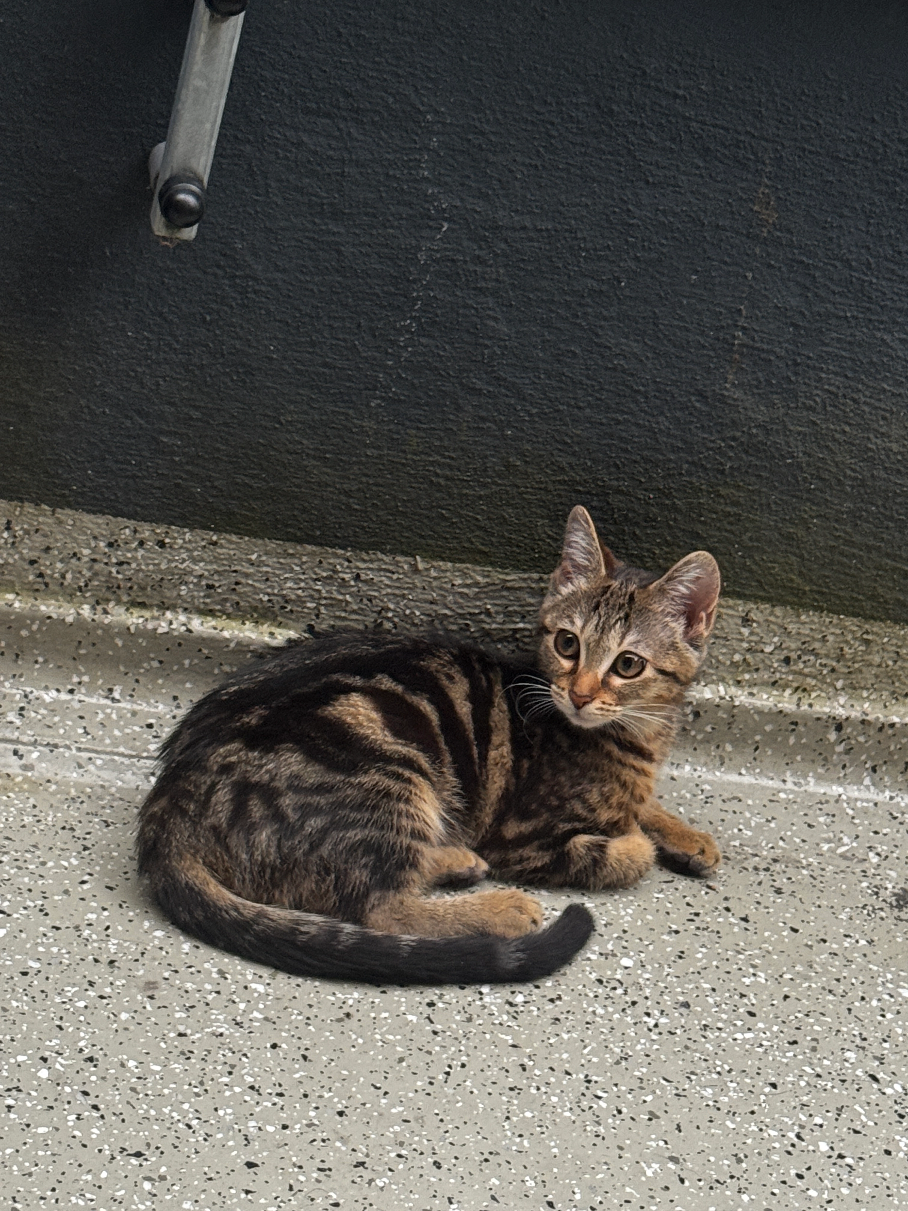 Abby - Krefelder Weg 2, Hamburg