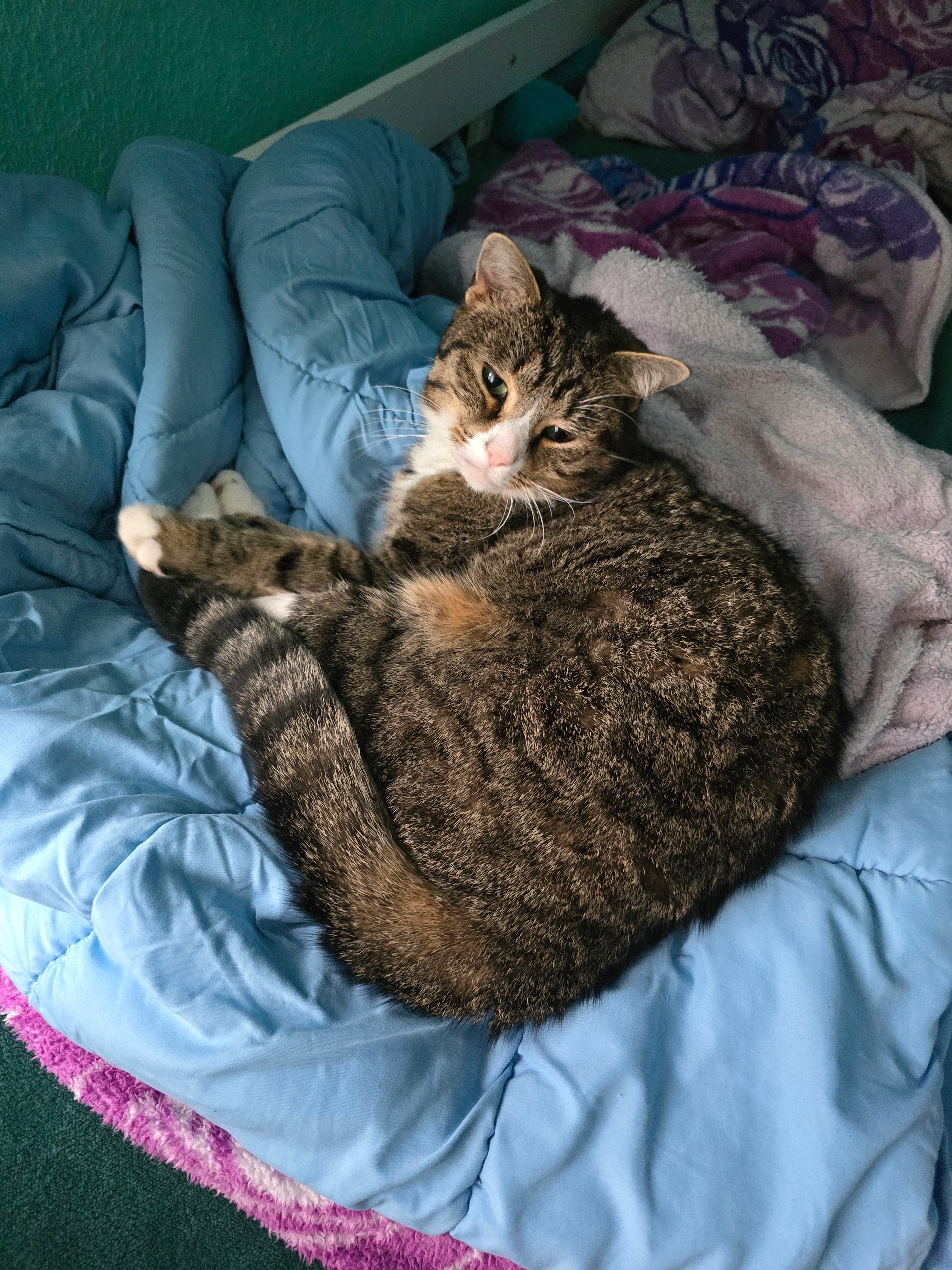 Bonny - Oberstacker, Osterholz-Scharmbeck