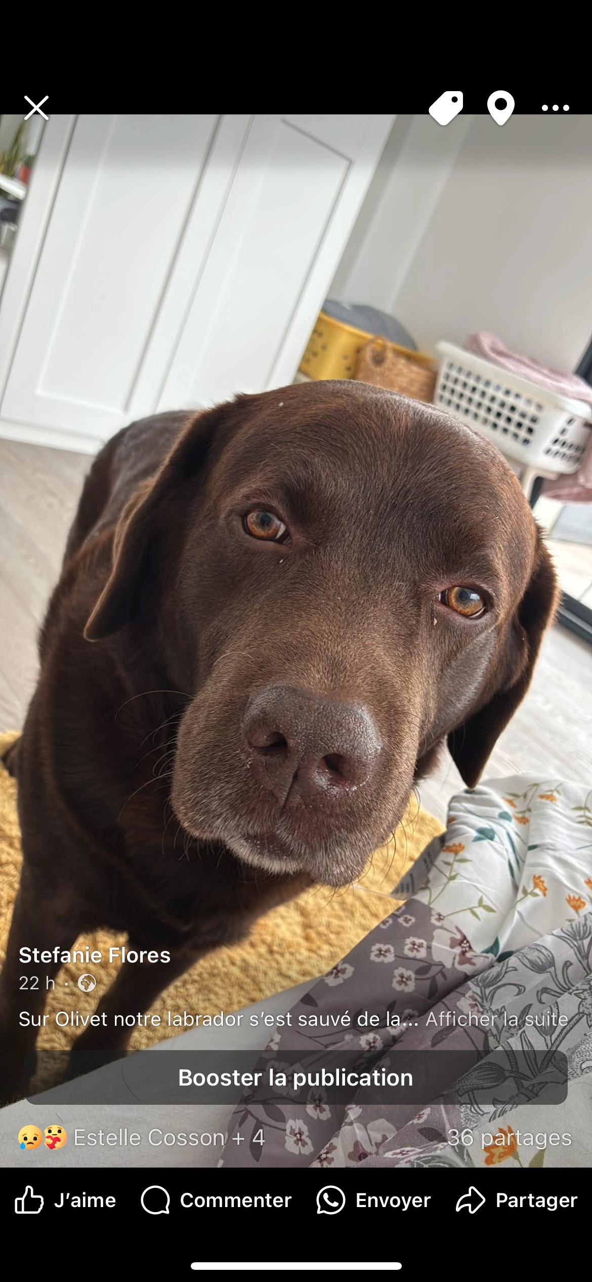 Oslo - Chemin de Maison Fort, Olivet