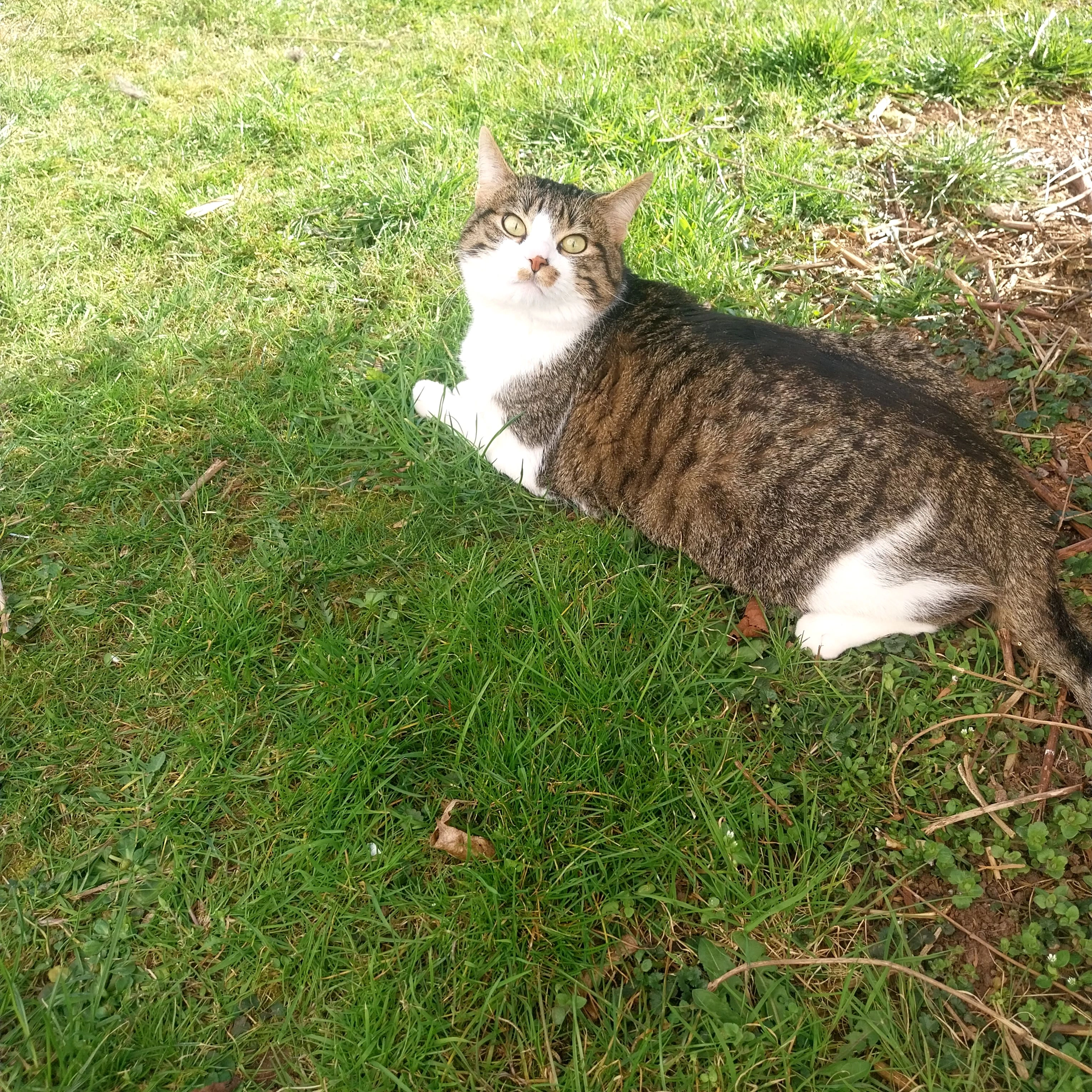 Kitty - Konrad-Martin-Straße, Leinefelde-Worbis