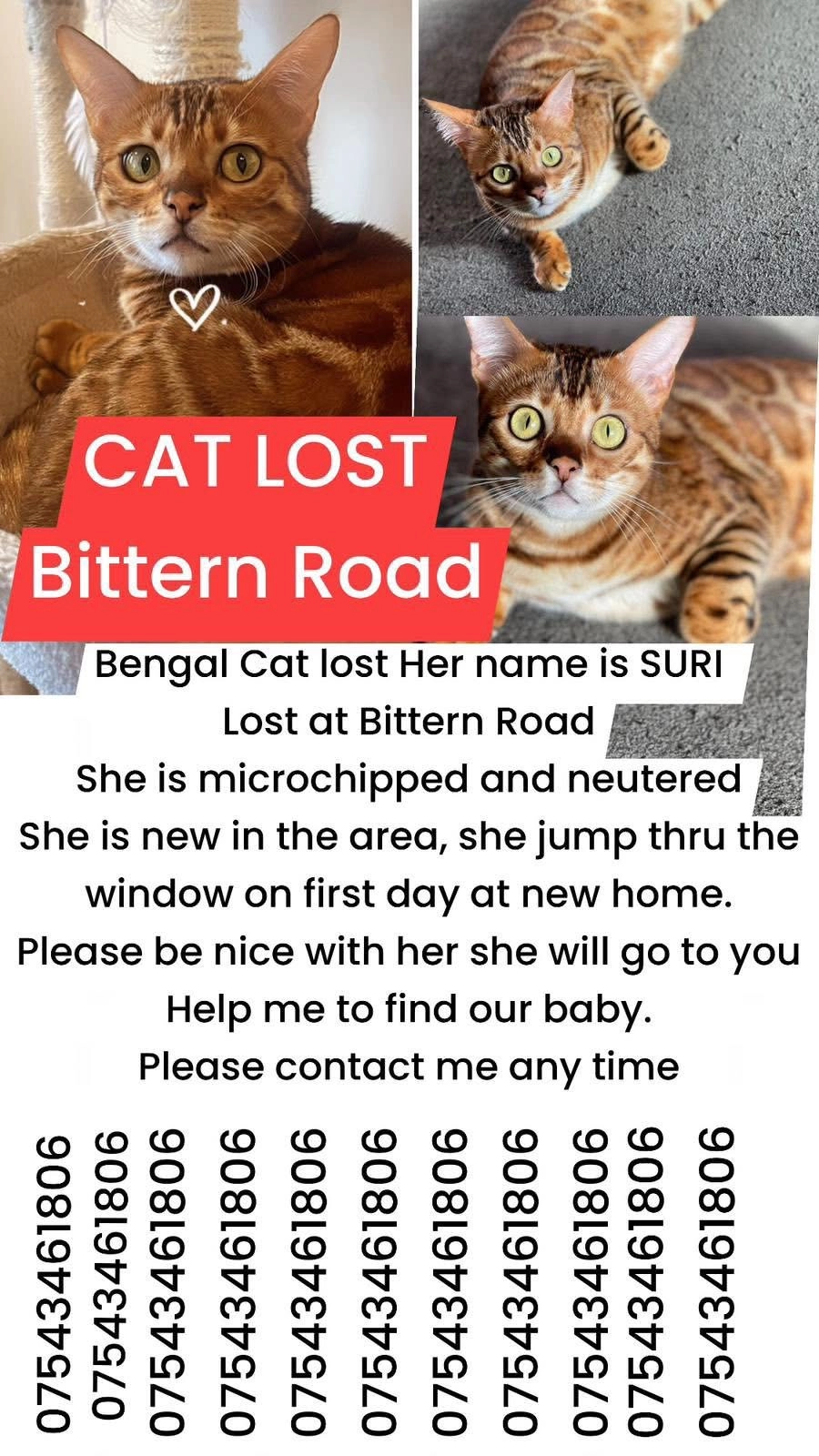 Suri  - Bittern Road, Norwich