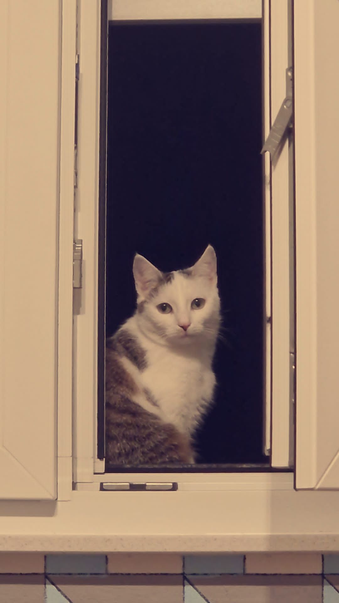 Luna - Rollgasse, Nüsttal