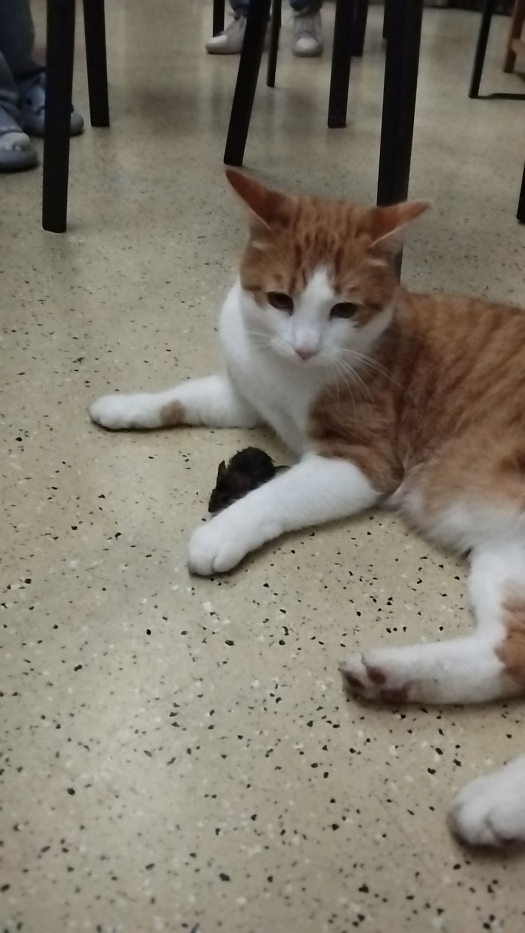 Max - Unterort, Pilgersdorf