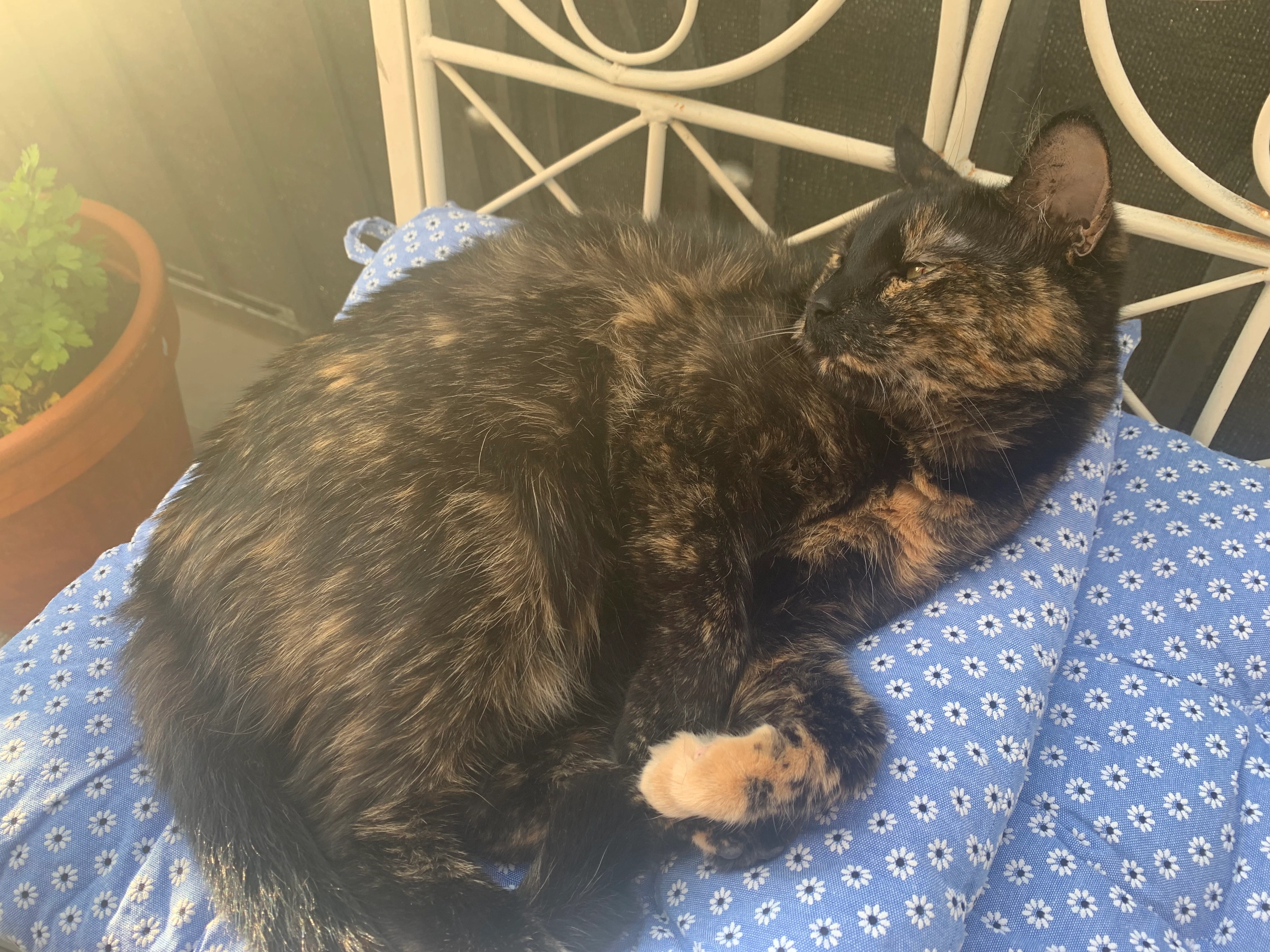 Nori - Záhořanského 3, Praha