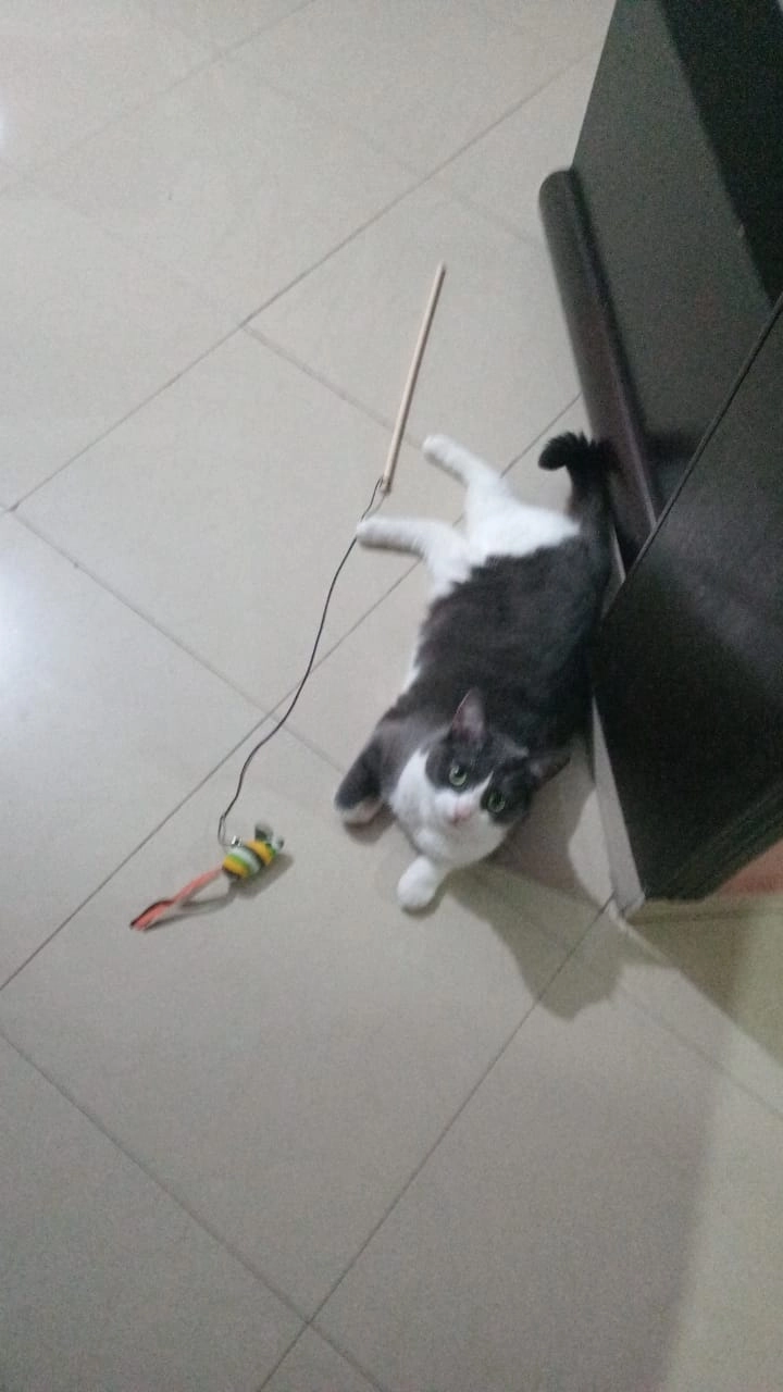 Pepsi - Rue Du Mont Houy, Famars