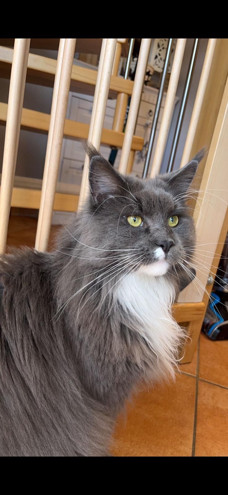 Frisko - Sültstraße, Emmerthal