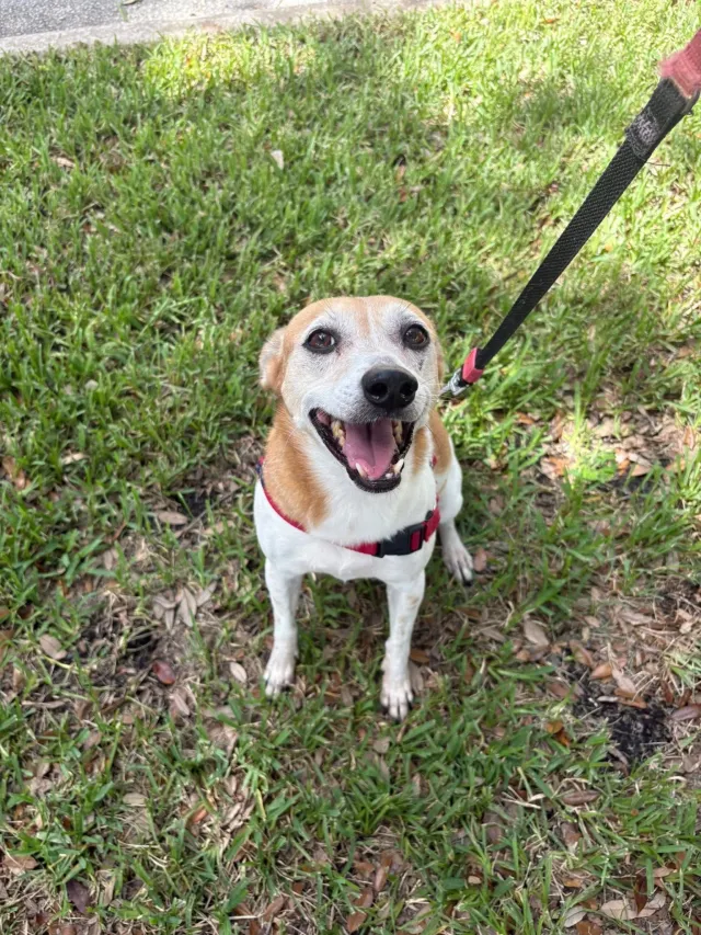 Emma - 2255 S Federal Hwy, Delray Beach