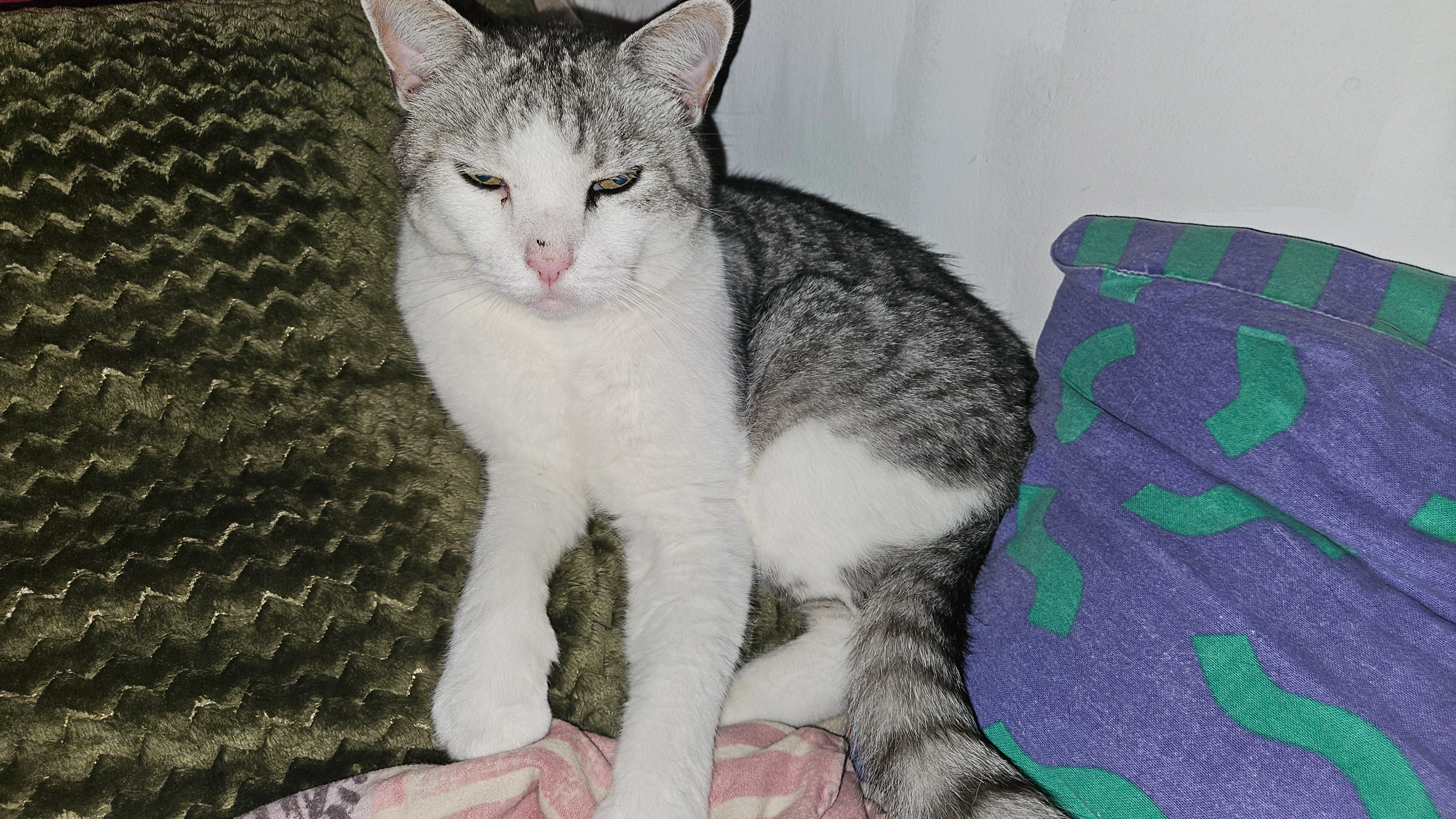 Gismo - Kegelbahnstraße, Freigericht