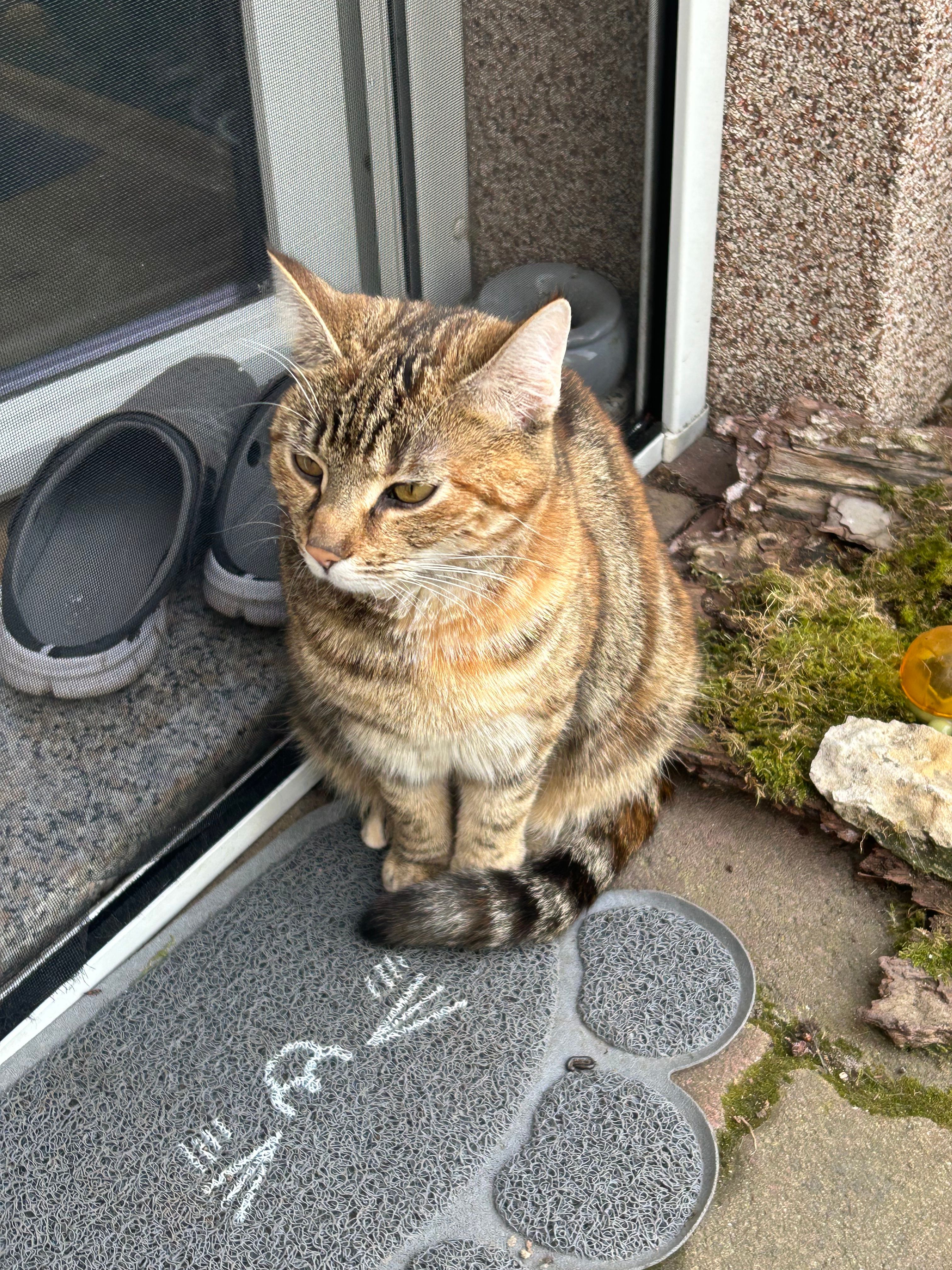 Frau Schmitt - Reiserstraße 20C, Unstruttal