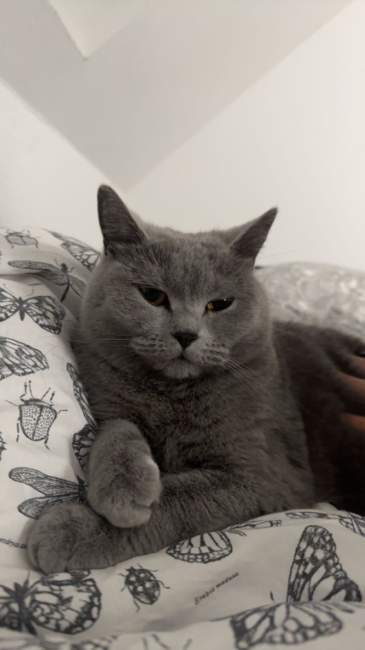 Nancy - Lange Straße, Rietberg