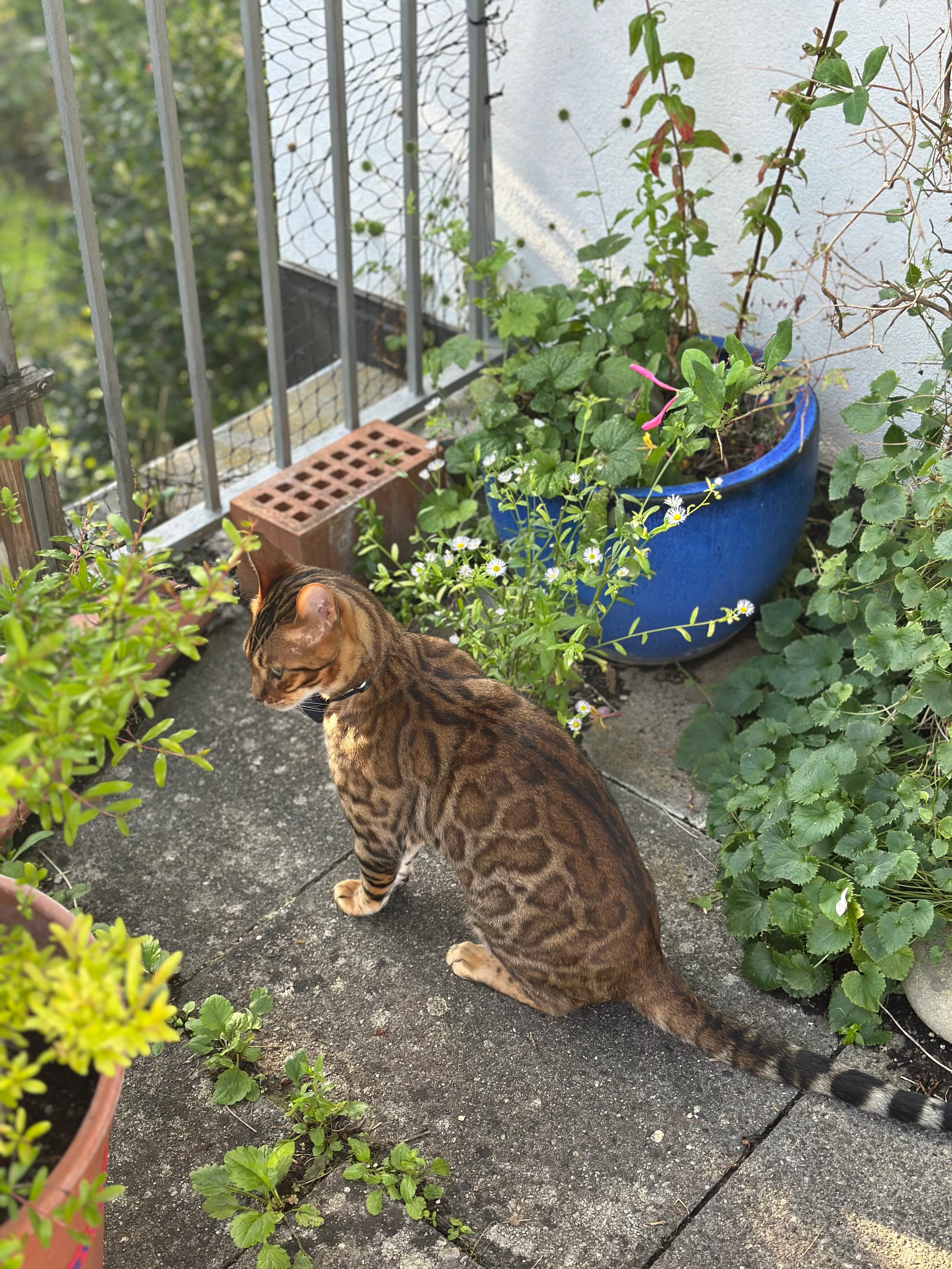 Timba - Augustin-Keller-Strasse, Aarau