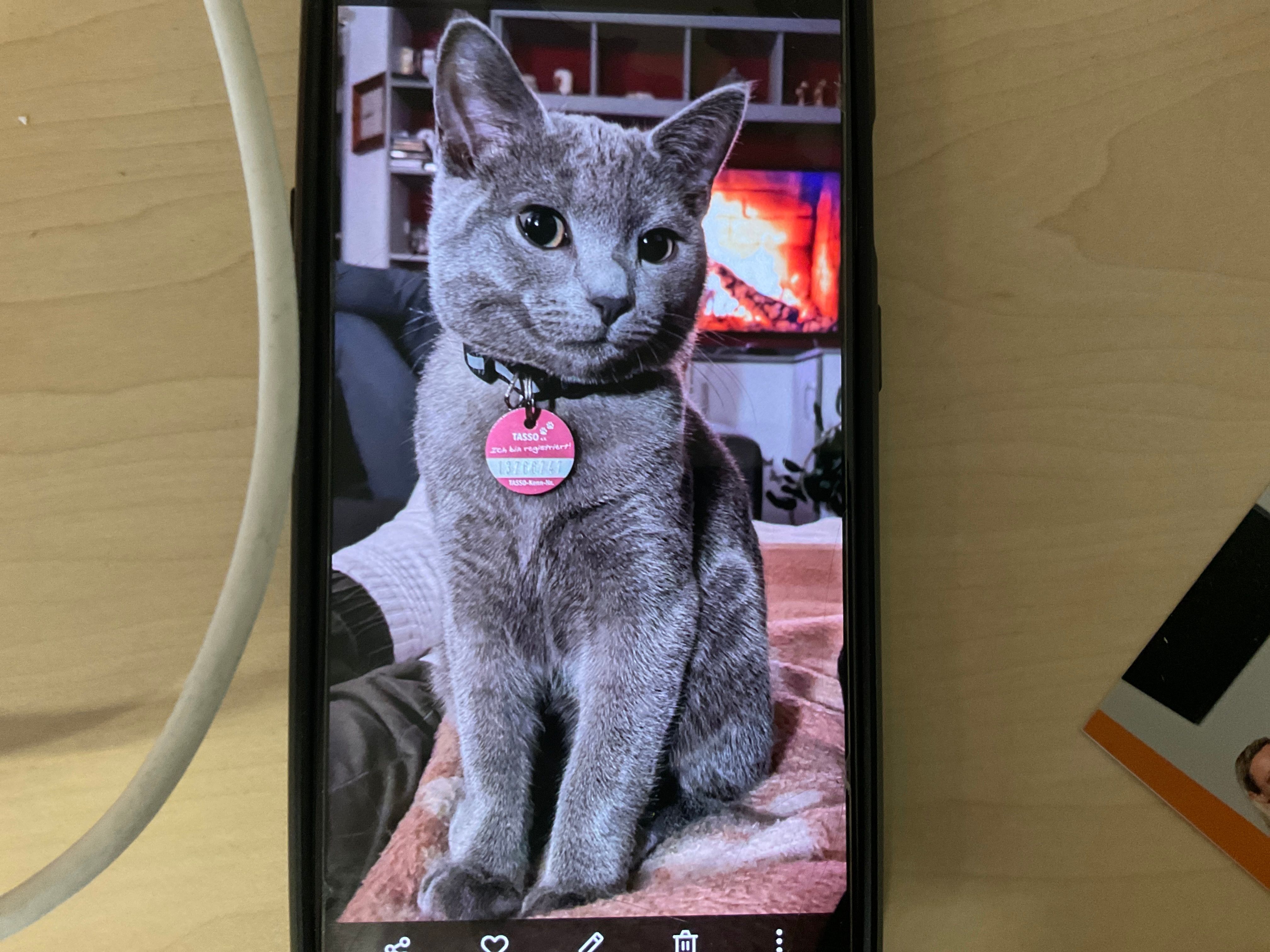 Balu - Am Wiesengrund 13, Elstra