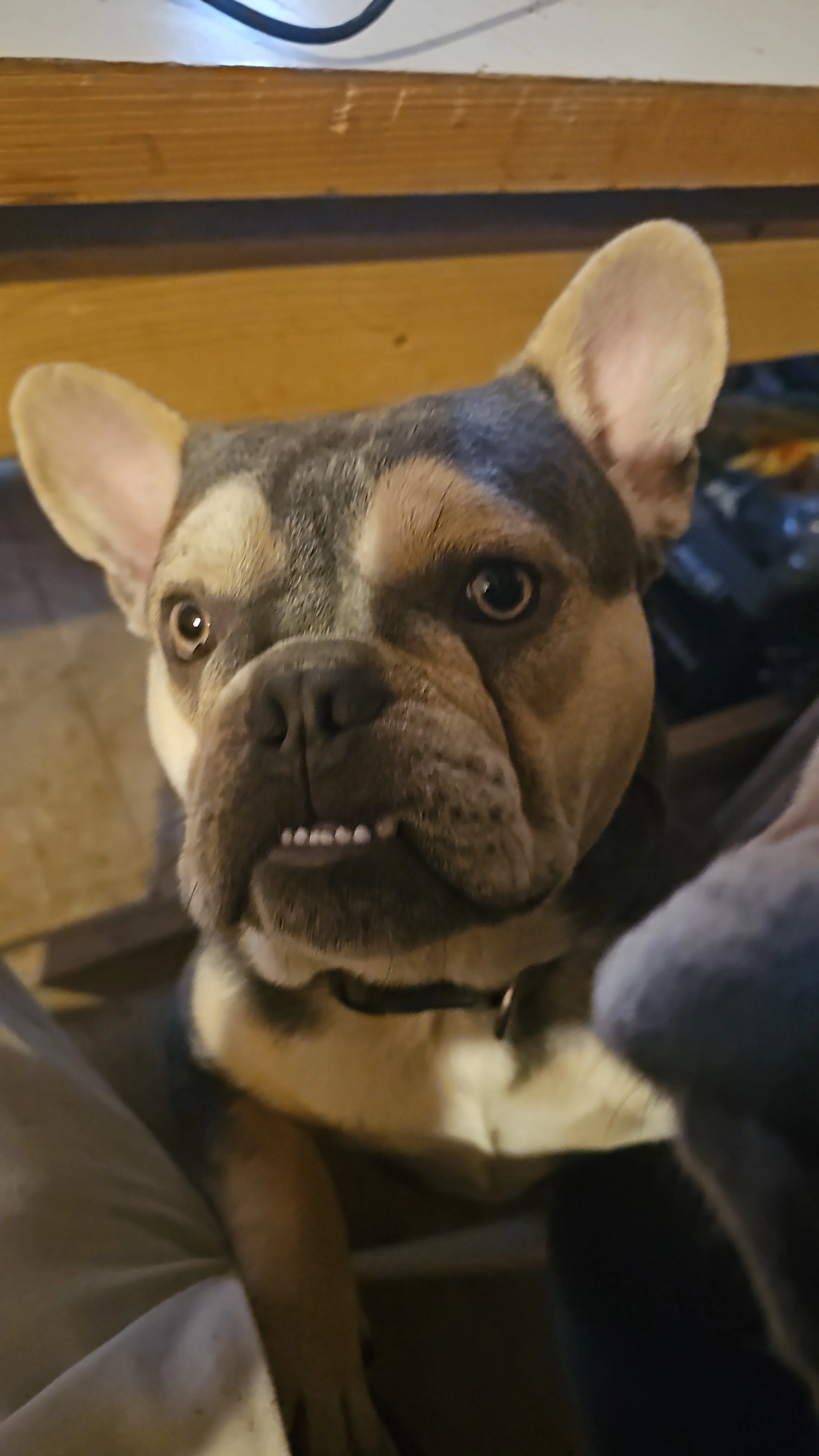 Gloin - Sexbierumerweg, Franeker