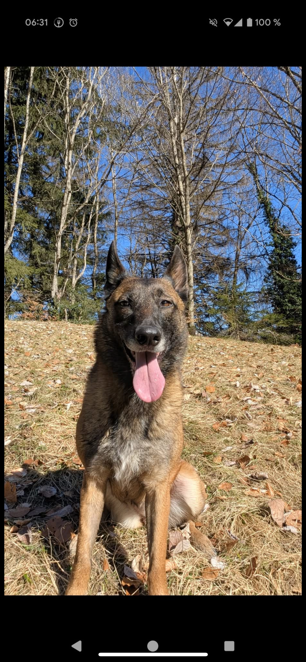 Owess  - Les Pottons, Marthod