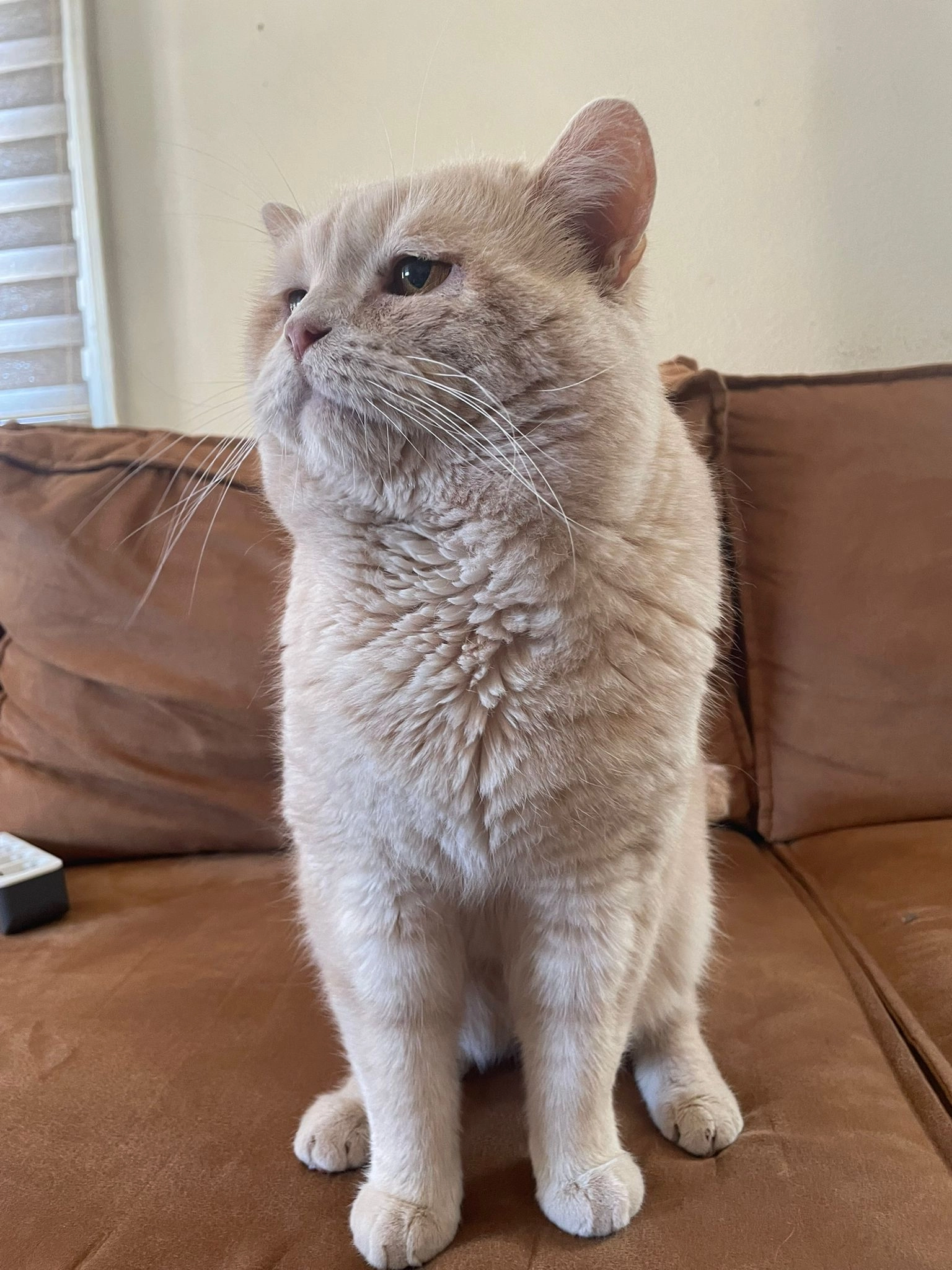 Aslan - Beinsteiner Straße, Waiblingen