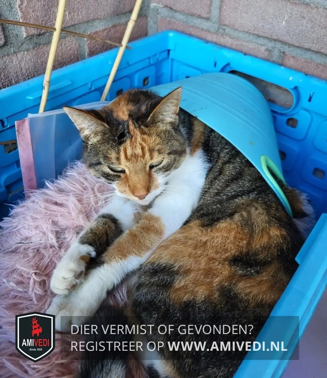 Puk - Zuiddijkstraat, Brouwershaven