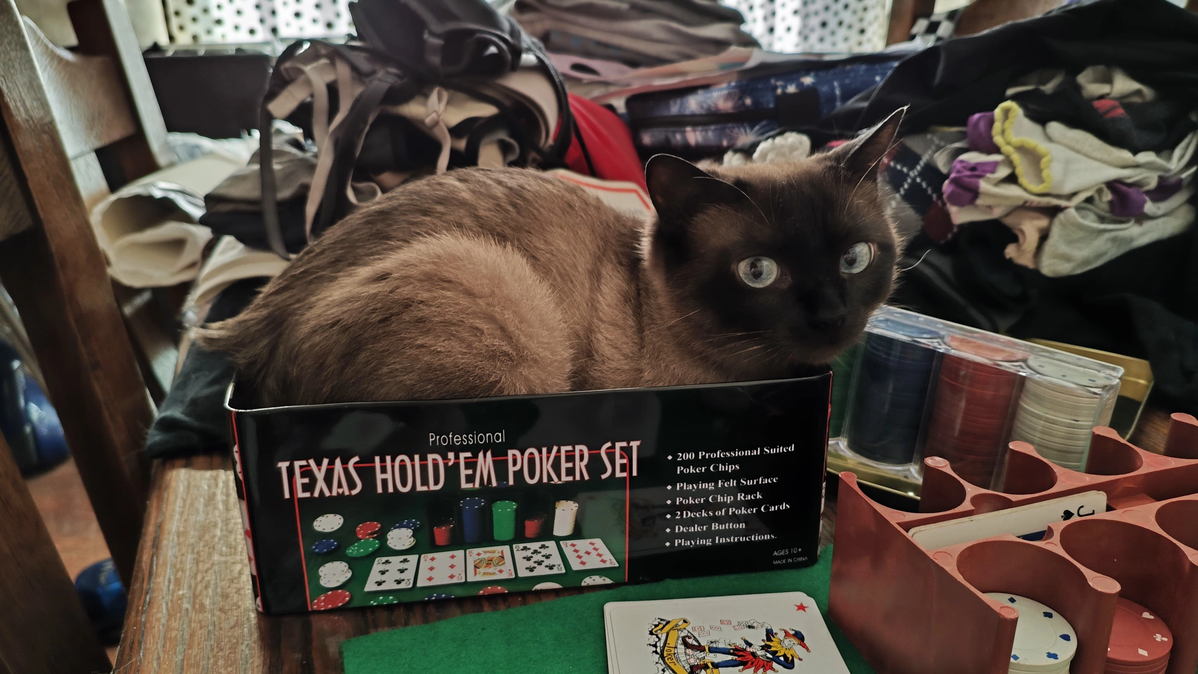 Parodia - Calle De Los Pocillos, El Álamo