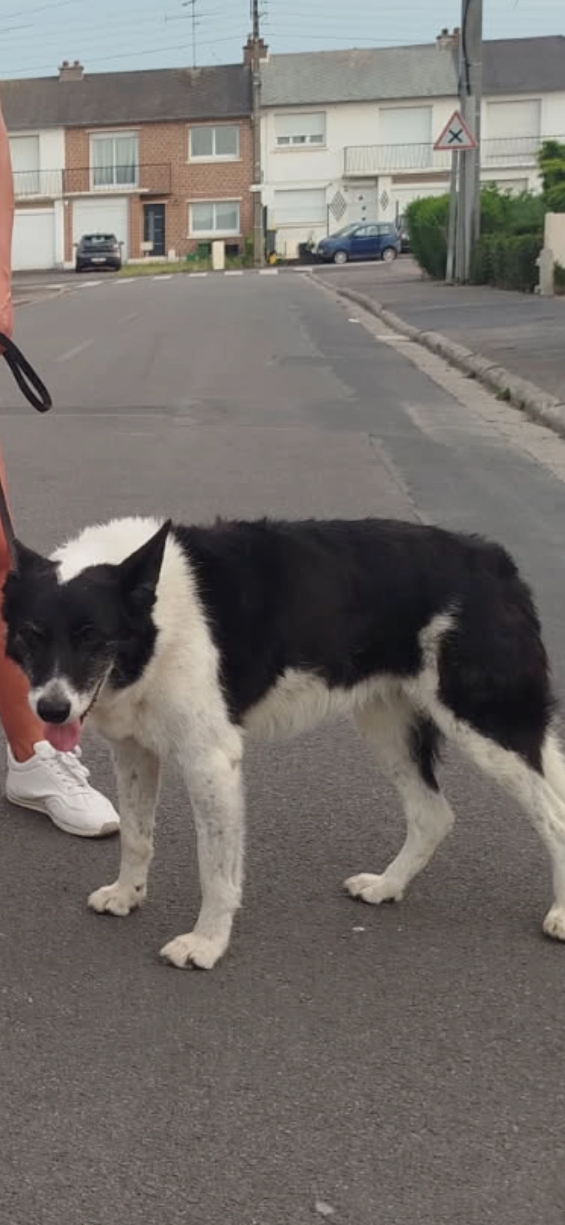 Gips  - Rue De L'abbaye De Vaucelles, Cambrai
