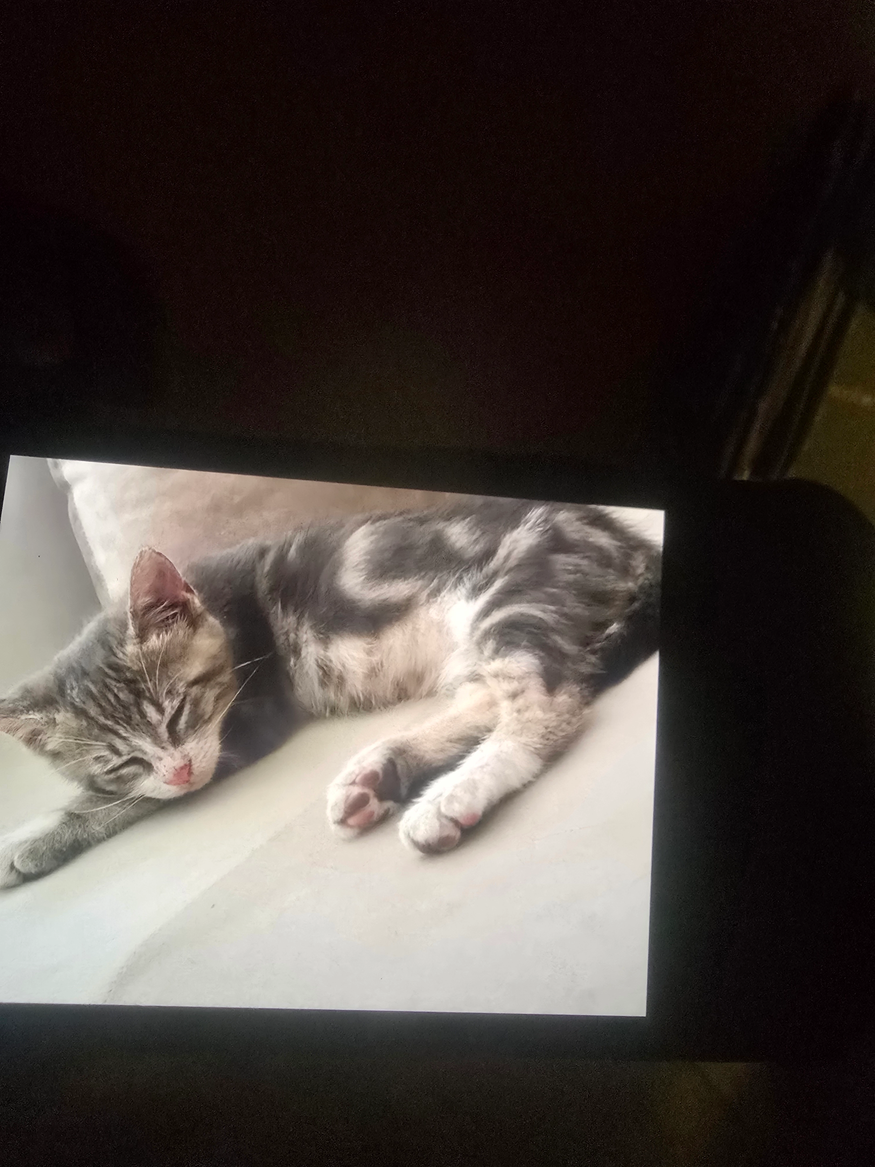 Minou - Rue Des Patios, Le Pontet