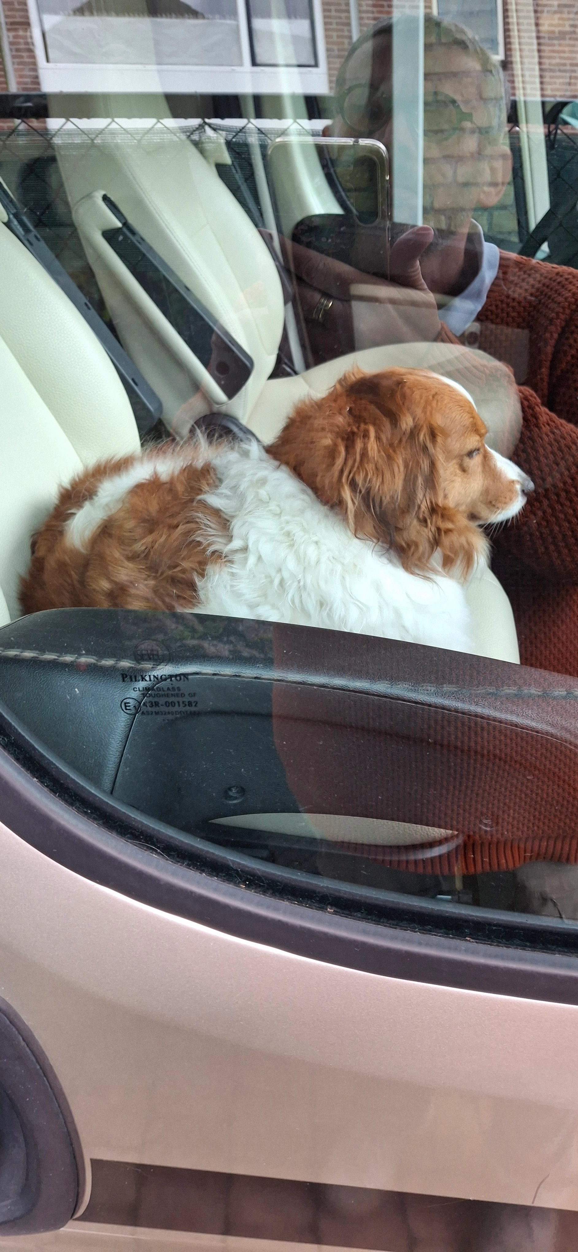 Floki - Taxandriëbaan, Tilburg