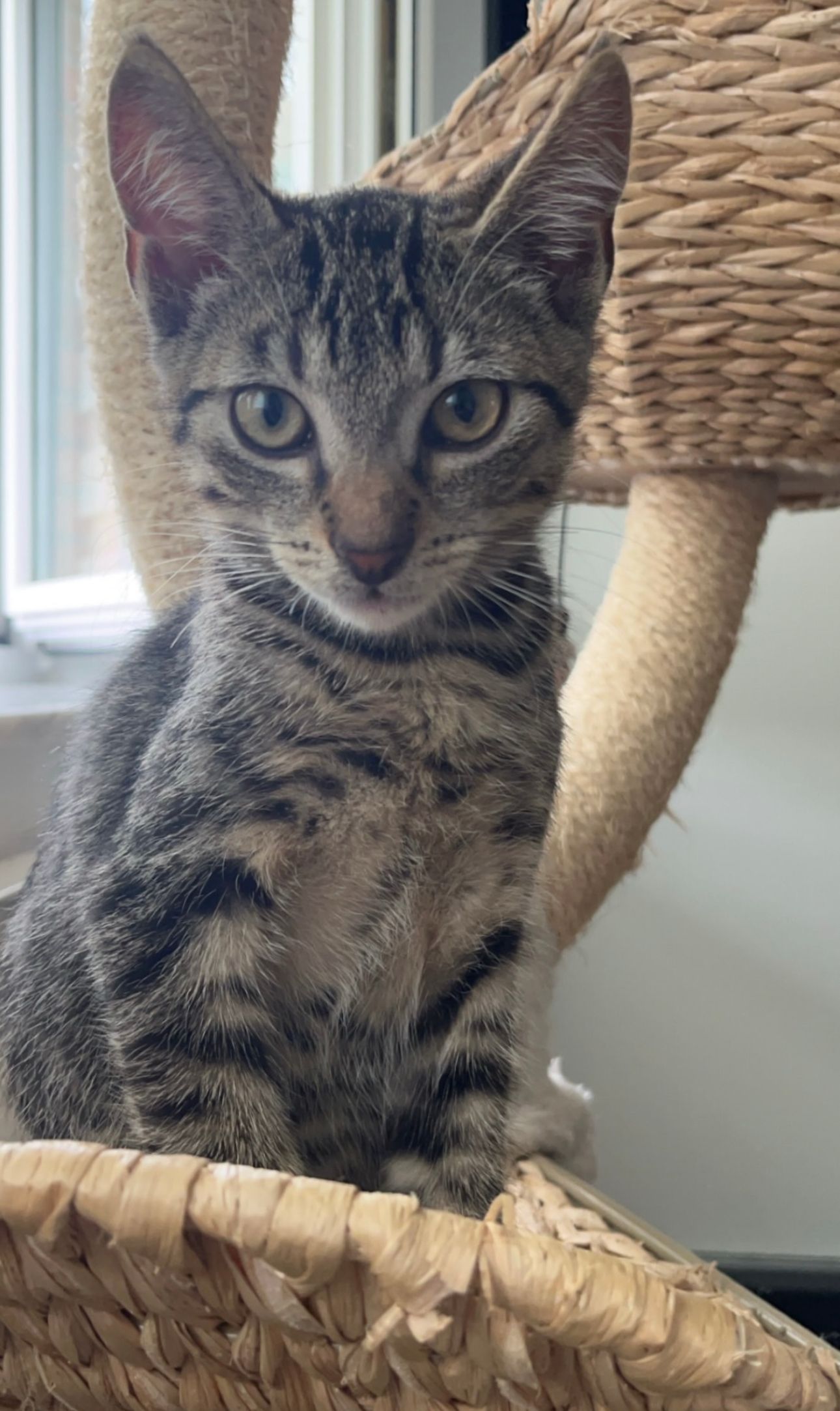 Sammy  - Frotheimer Weg, Espelkamp