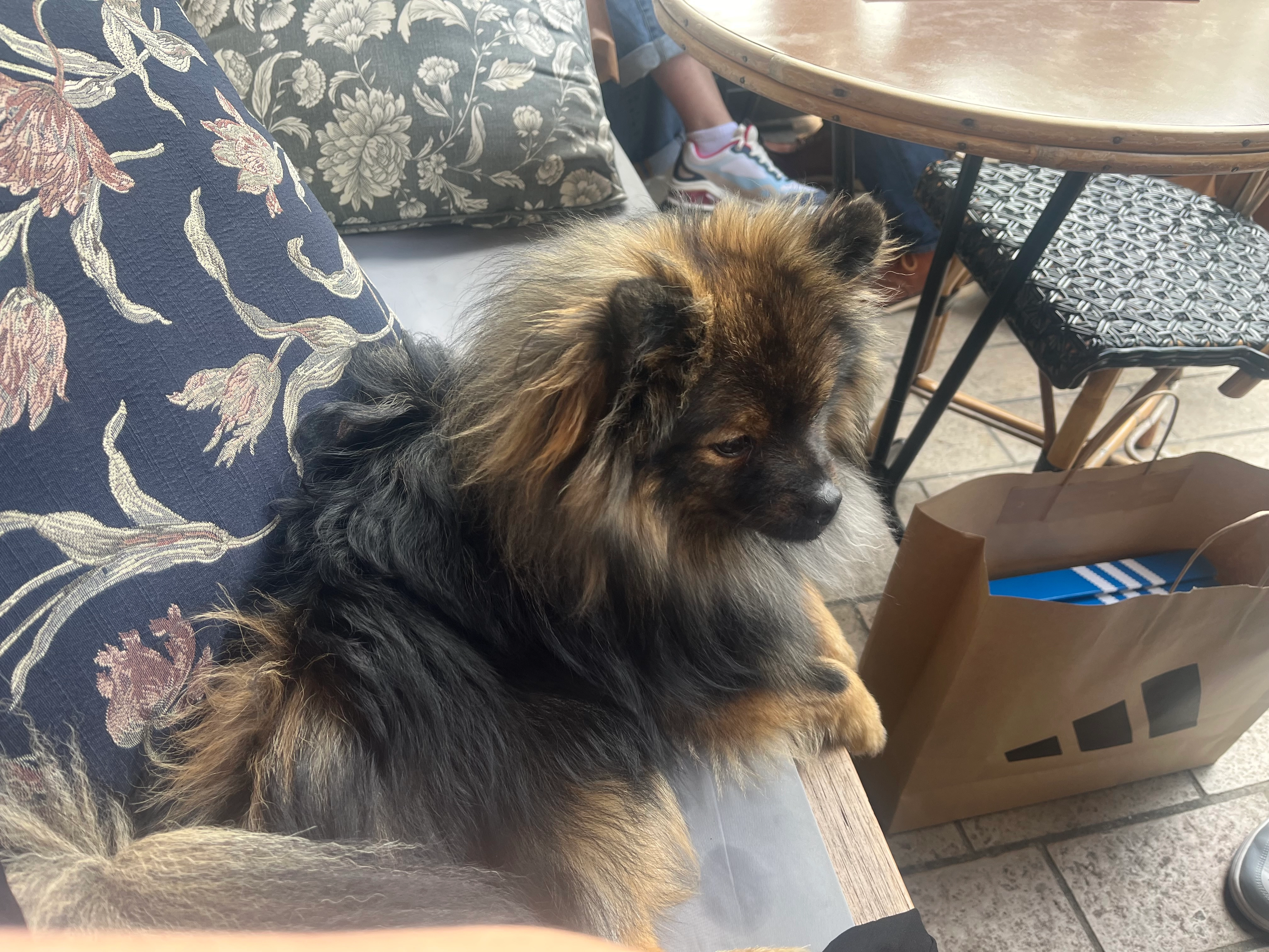 Charly - Rue d'Alzon, Bordeaux