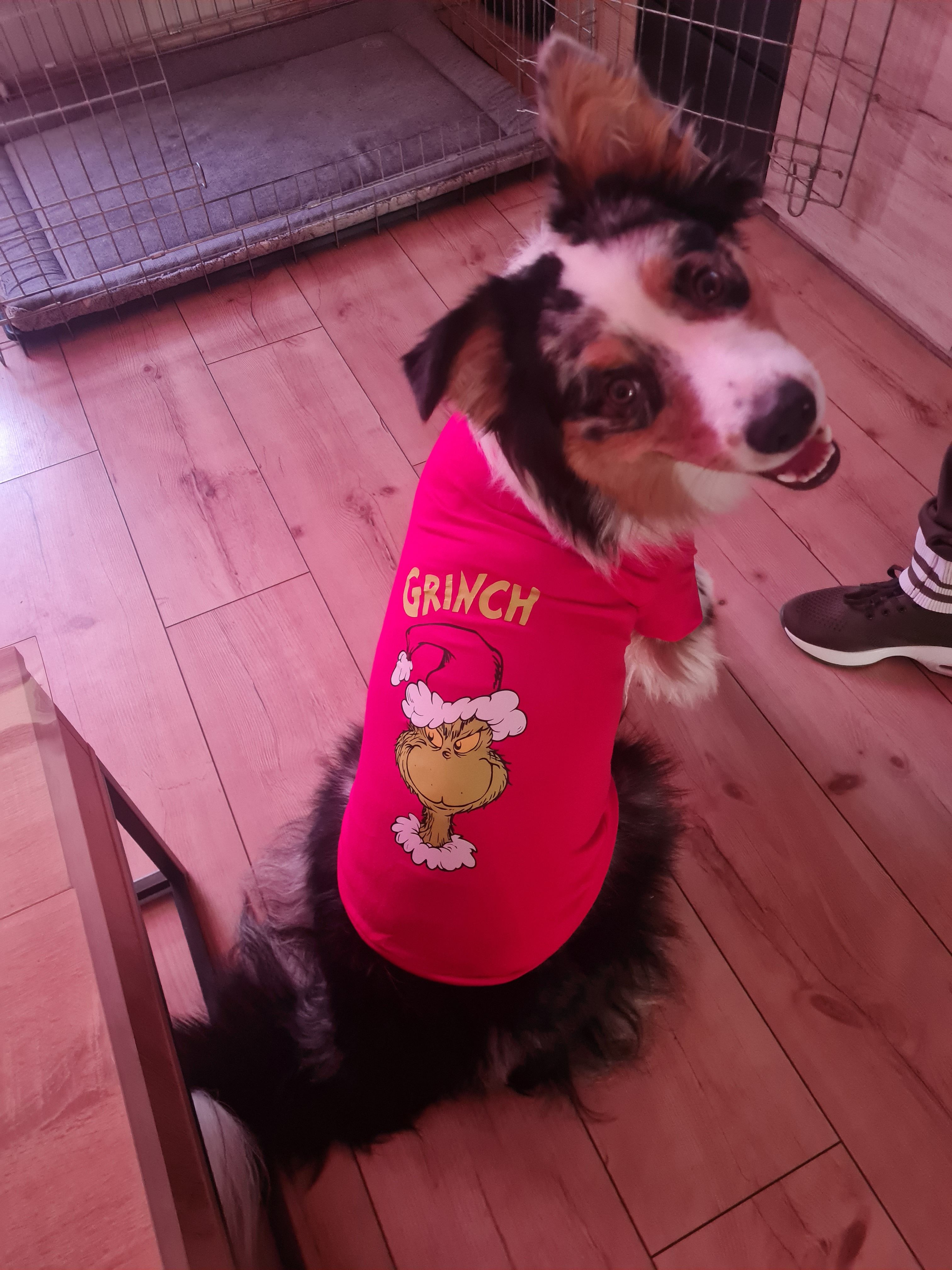 Volt - Rue de Petite-Rosselle, Petite-Rosselle