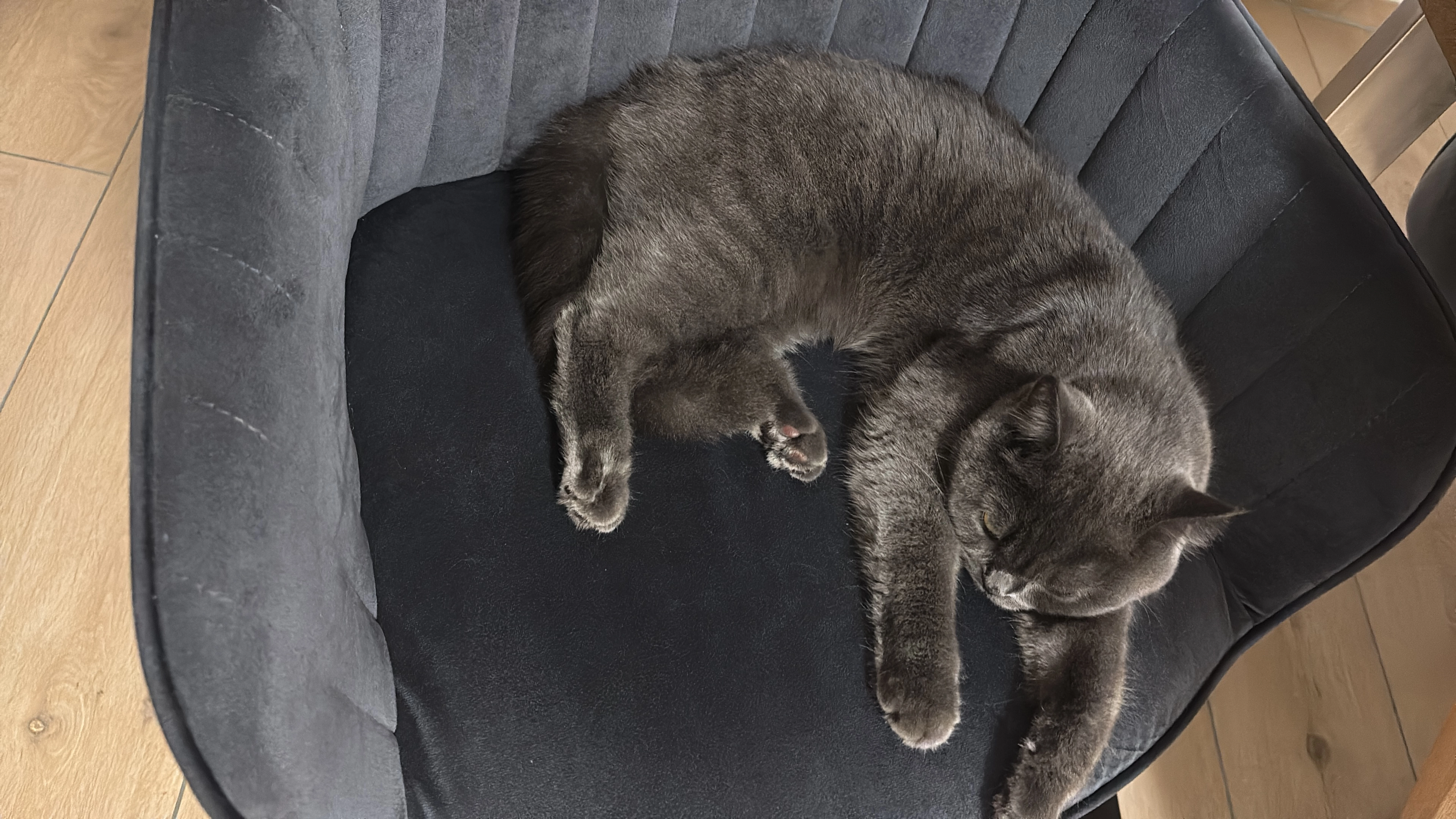 Pamuk - Johann-Strauss-Straße 37, Pfedelbach