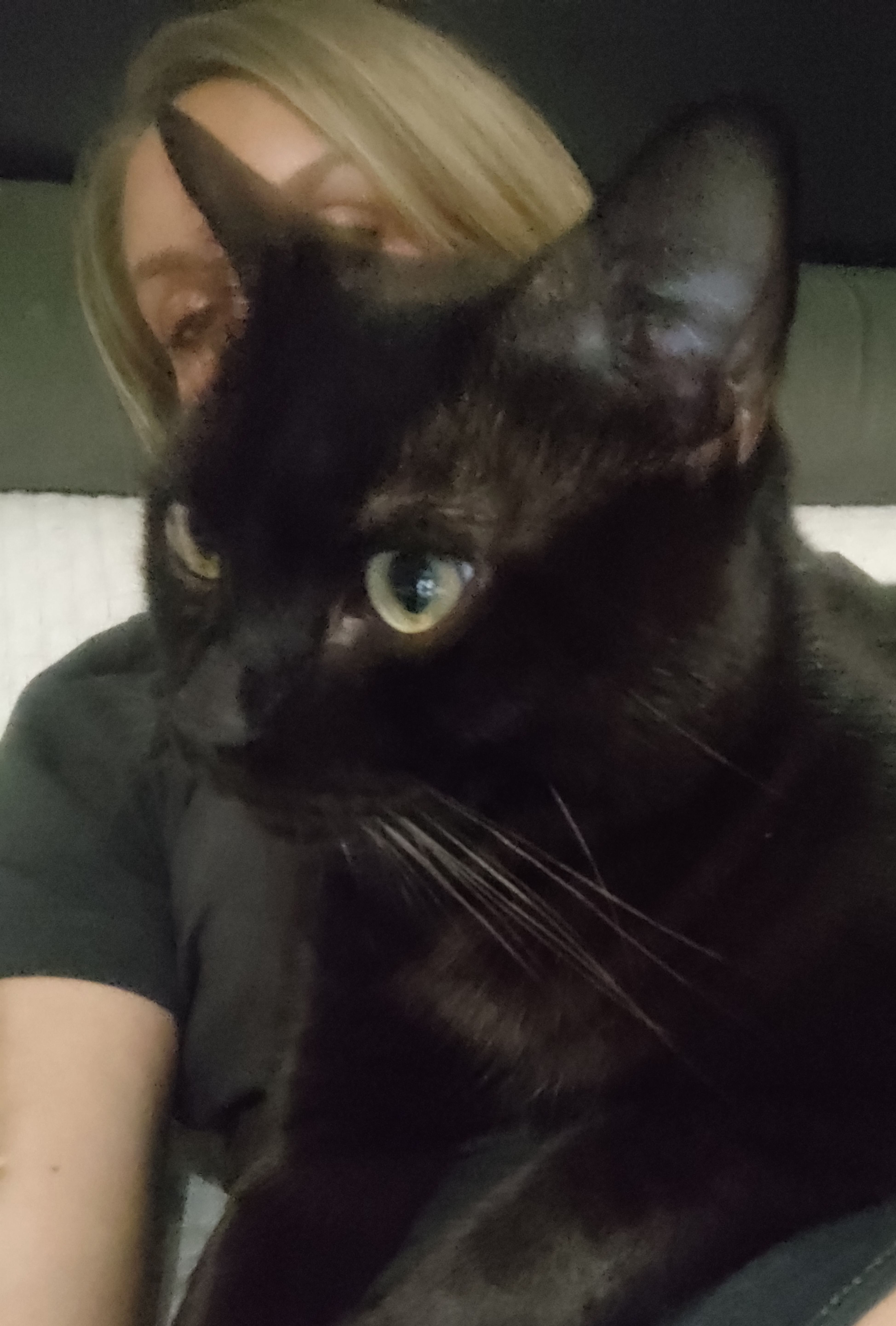 Panther - Mühlweg, Unterpleichfeld