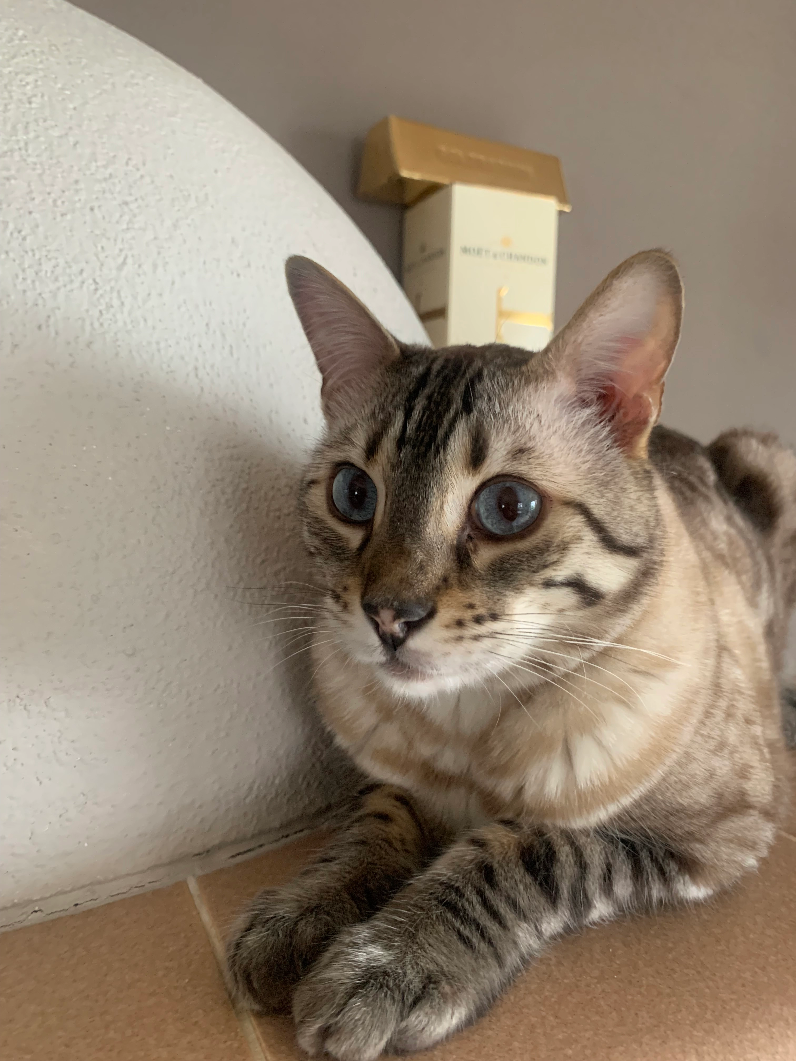 Zero  - Lilienstraße, Schirnding