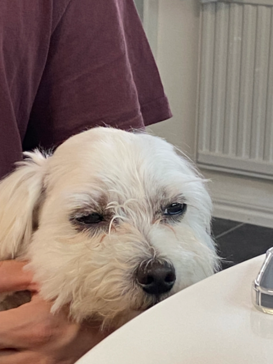 Oatly - Snörpåsvägen 6, Göteborg