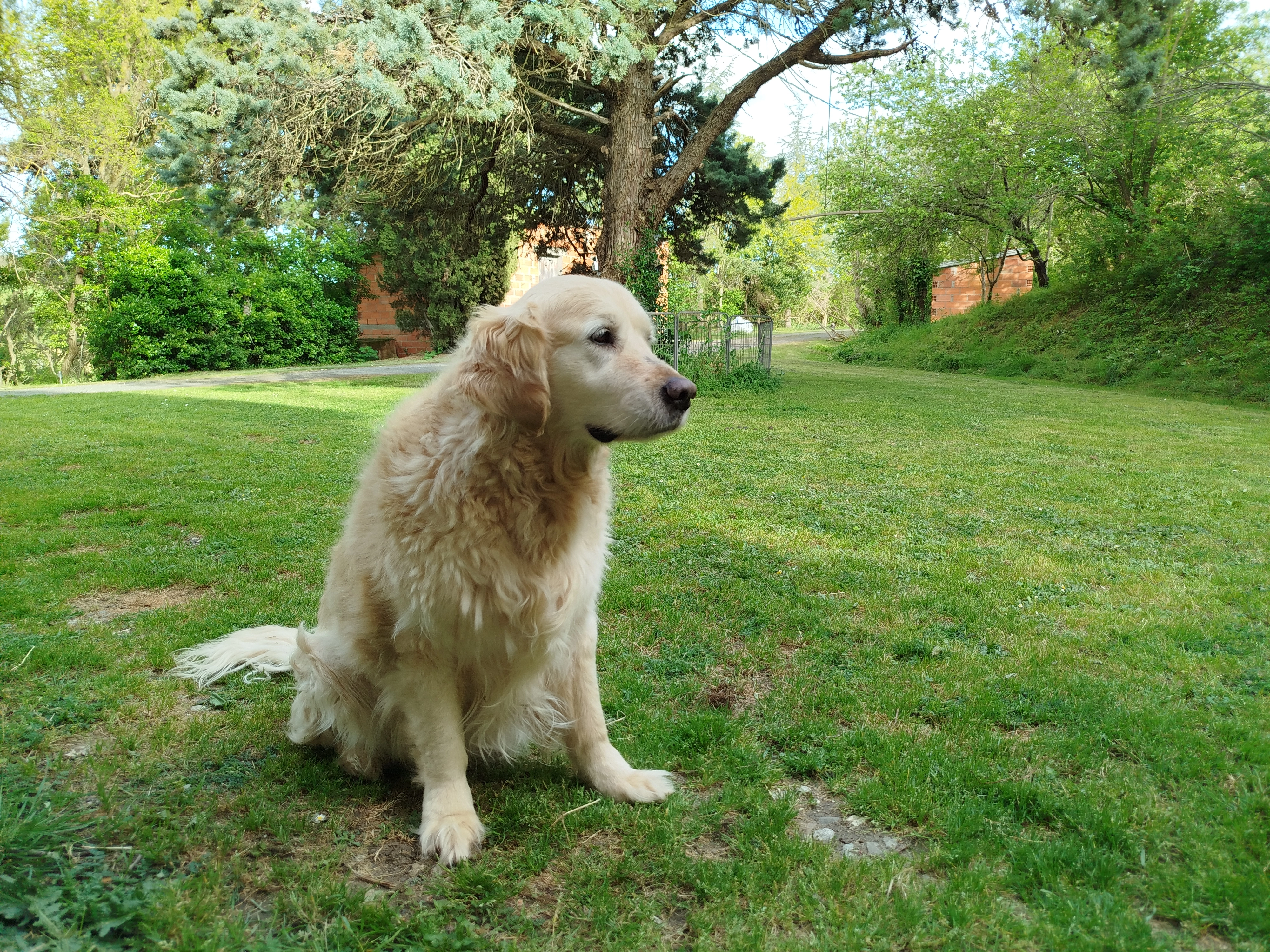 Jungo  - Lac de la Ramée , Toulouse 