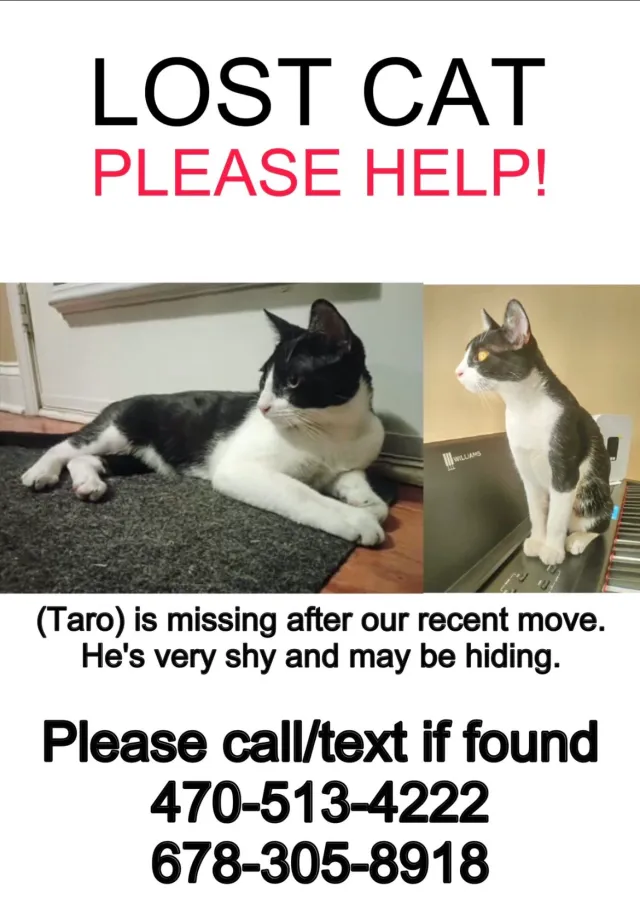 Taro - Taylor Rd, Alpharetta