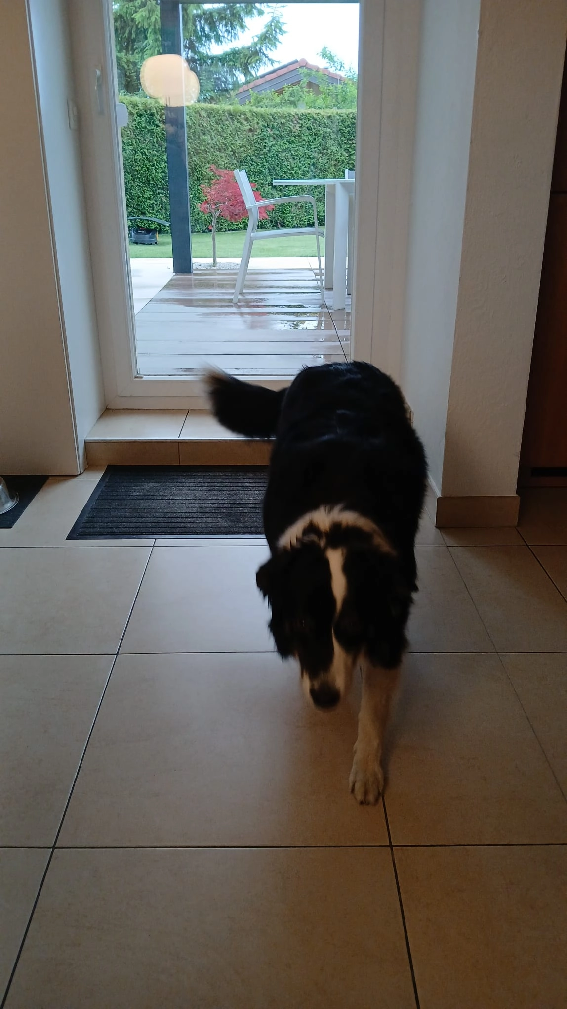 Keshua - Route De La Pinède, Bramois