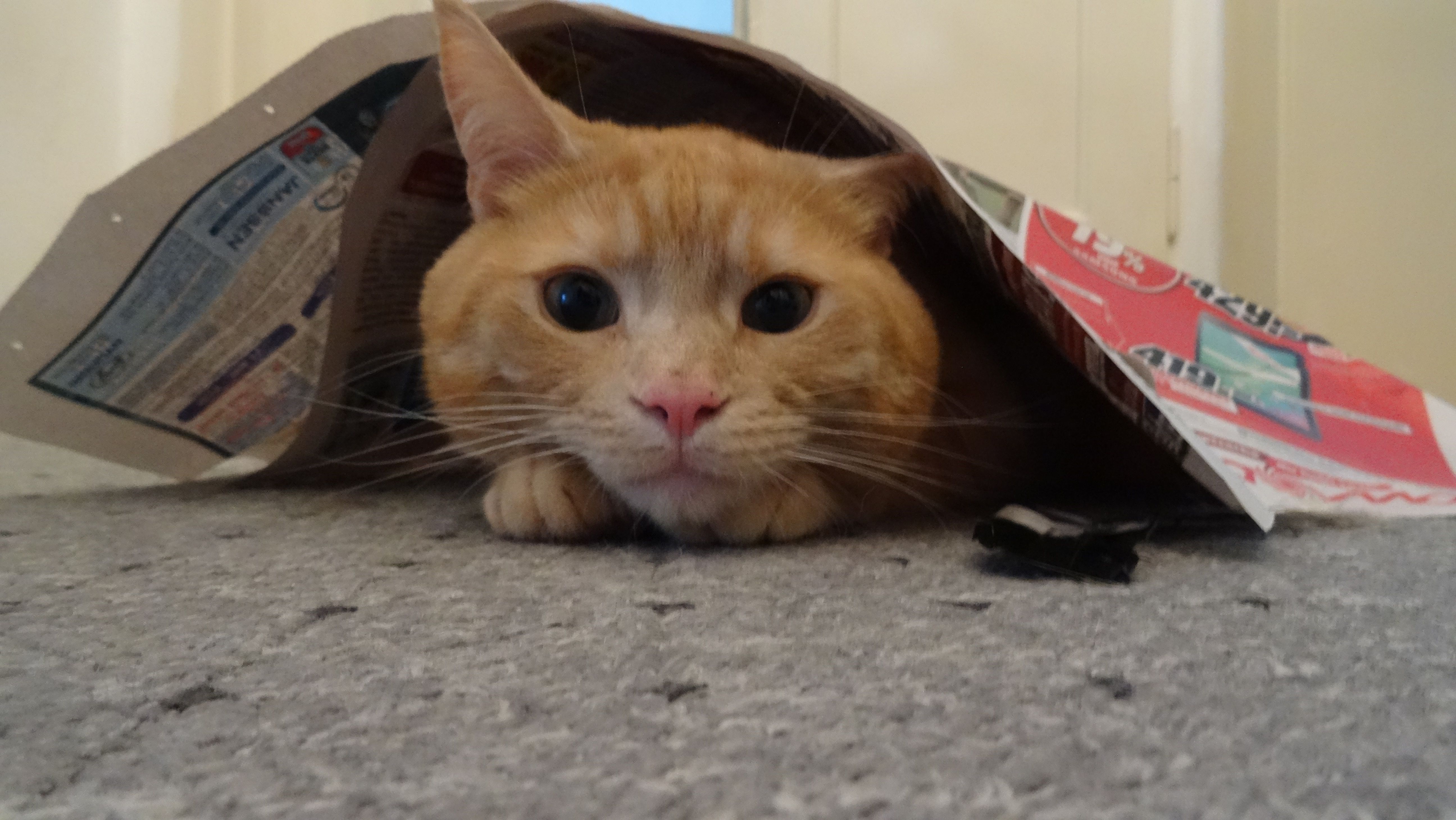 Willi  - Ostlandstraße, Westerstede