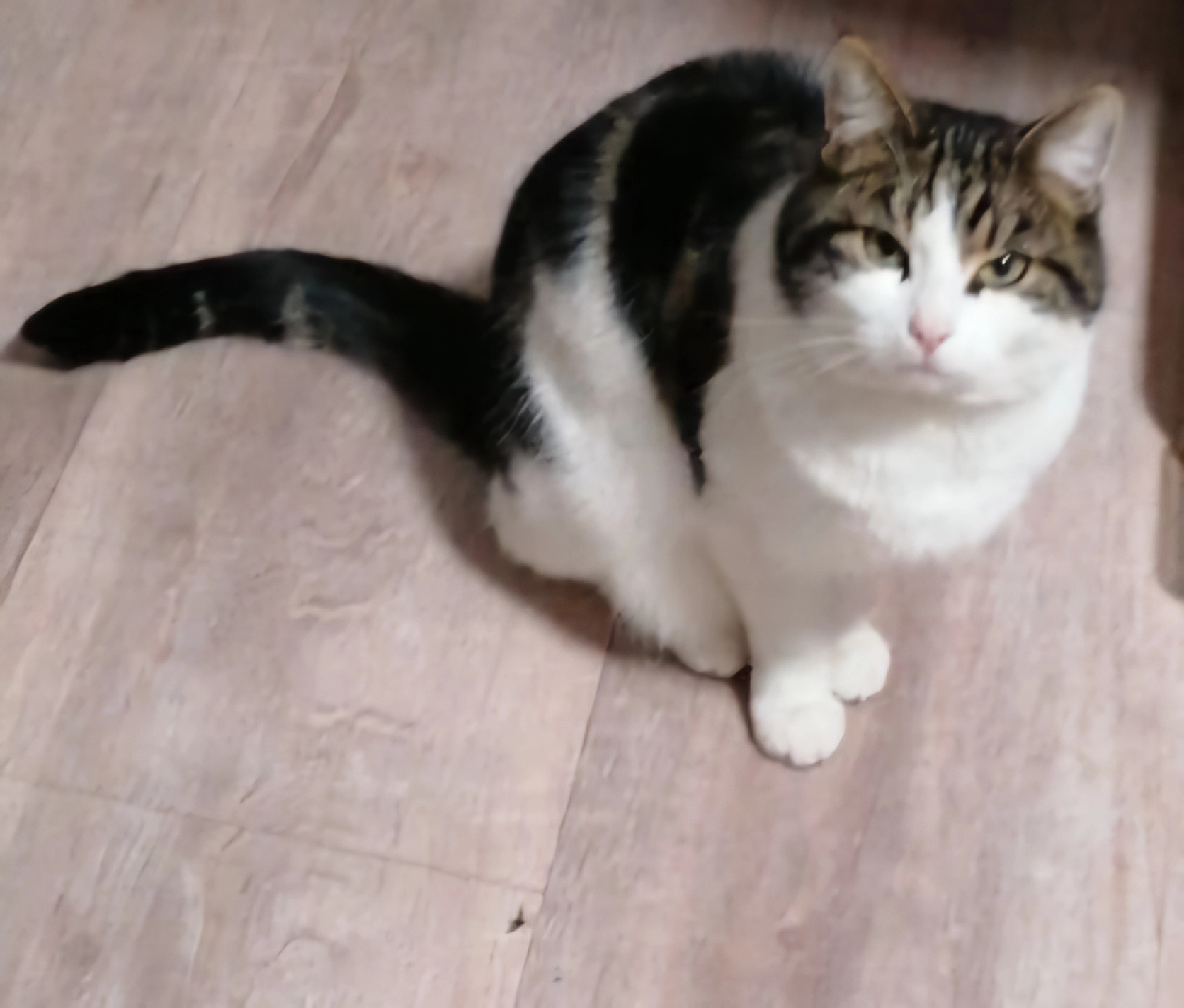 Jack - Unter den Linden, Jüchen