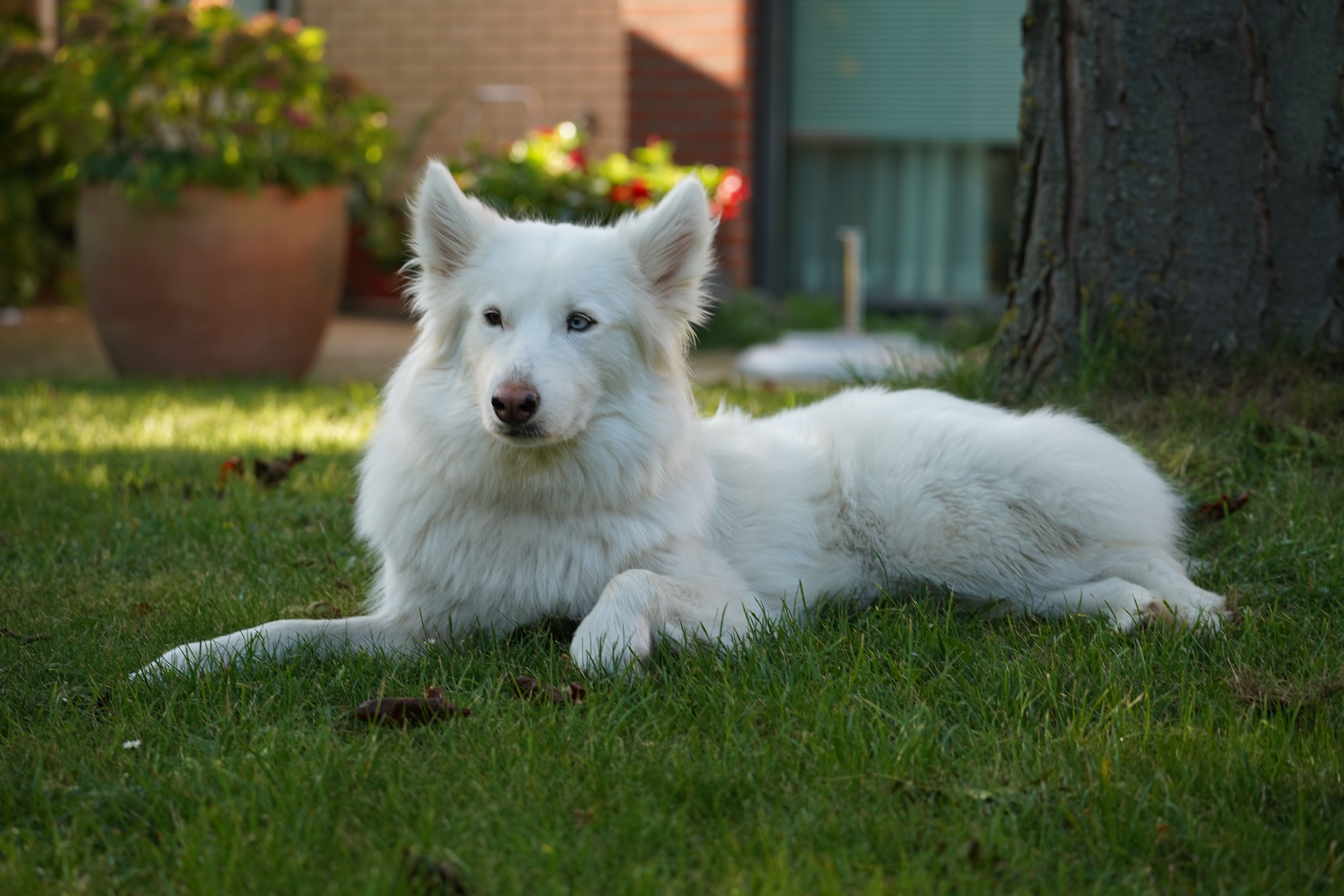 Kayleigh - Langedaal, Dordrecht