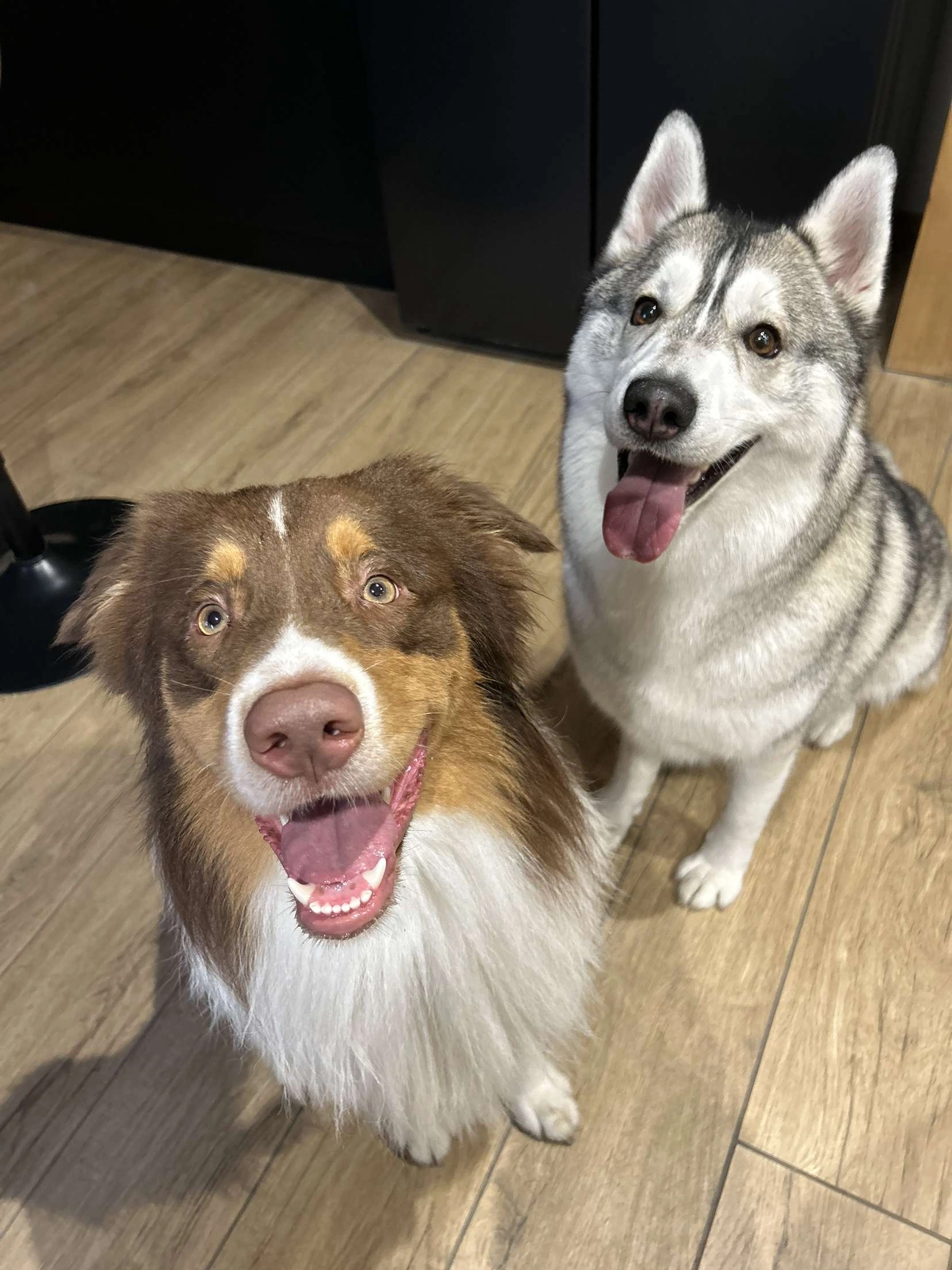 Uno - 224 Rue du Chemin Vert, Boulogne-sur-Mer