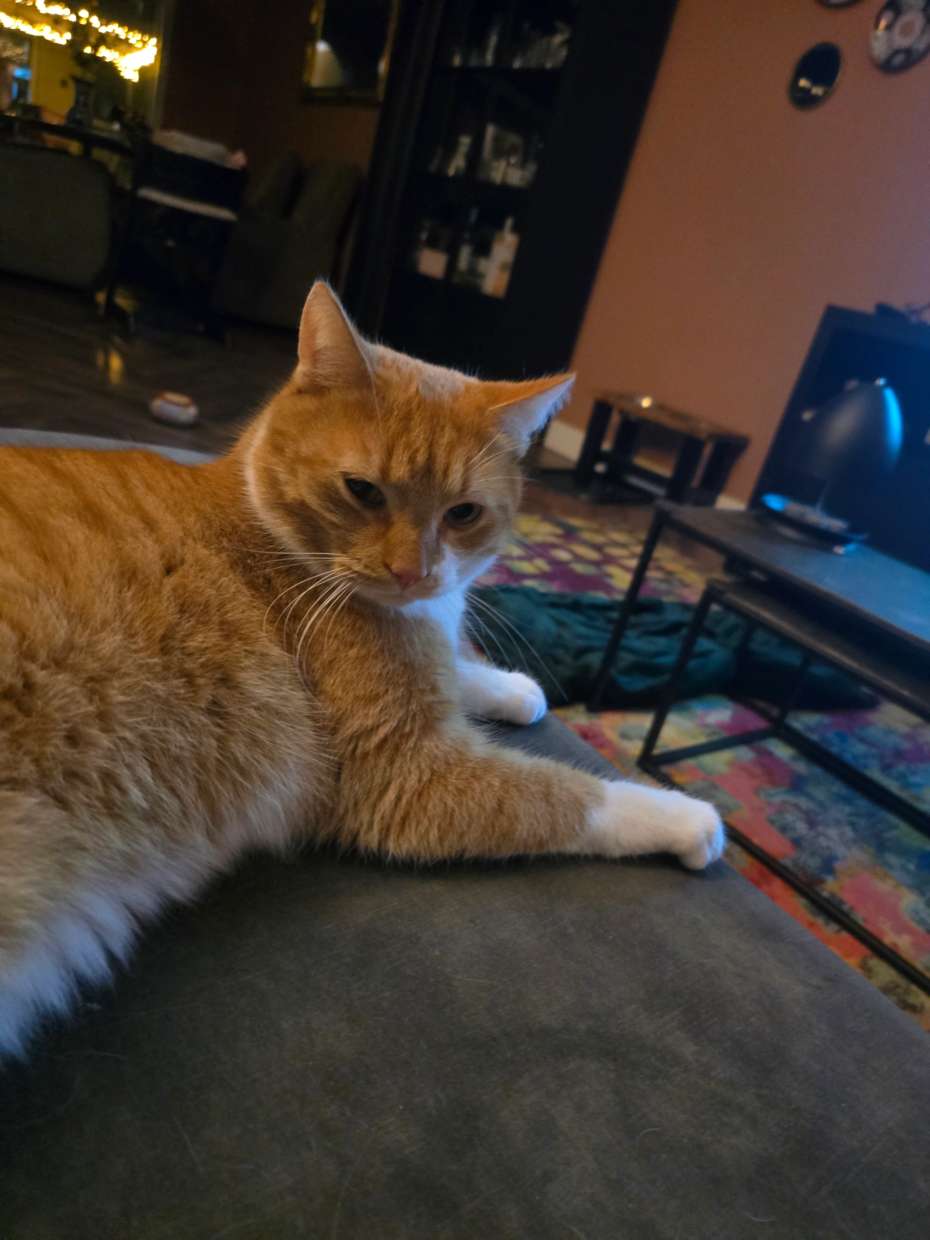 Lennie - Karel Doormanstraat, Haaksbergen