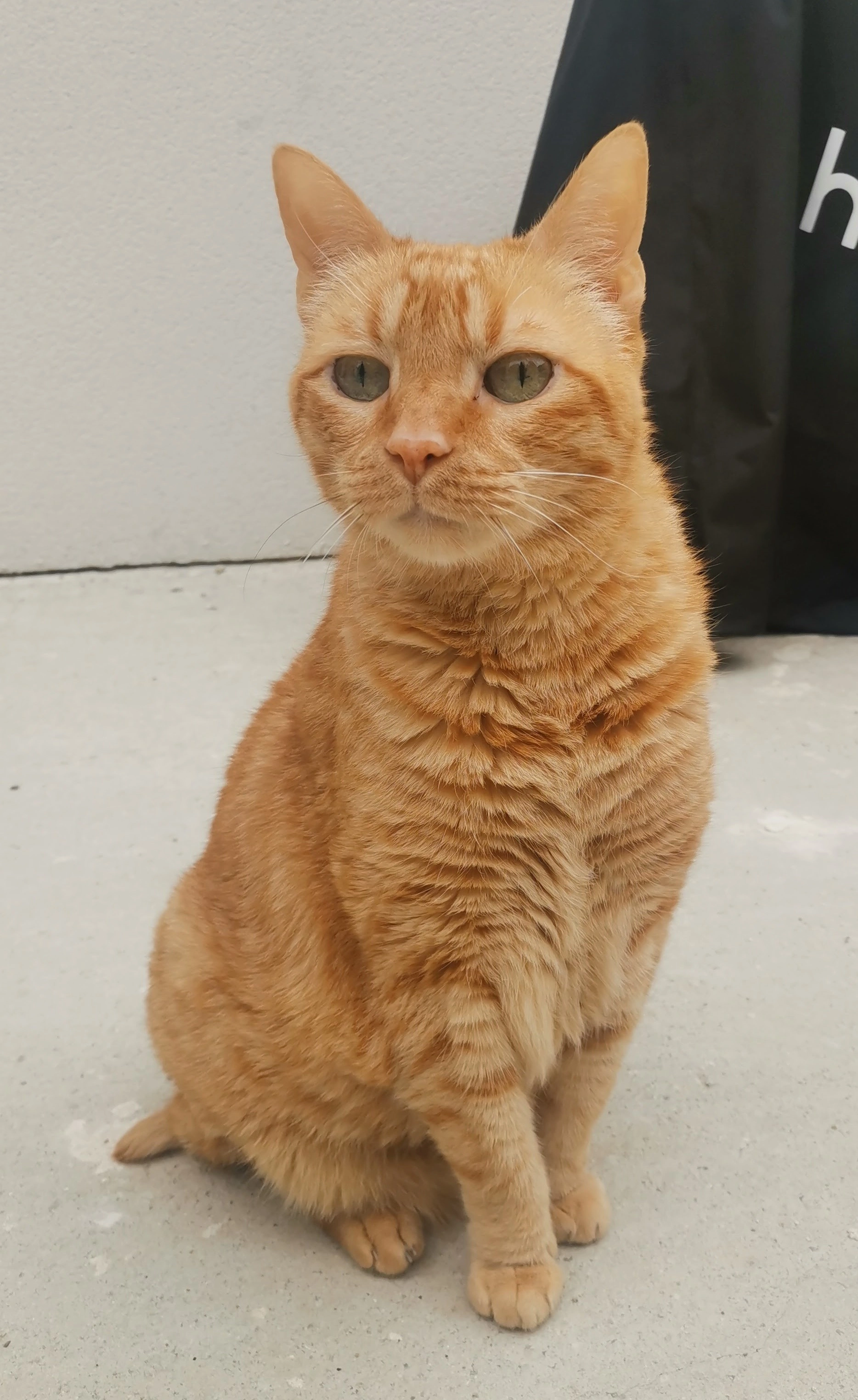 Boudke - Rue de la Croix de Lorraine, Saint-Jean-de-Linières