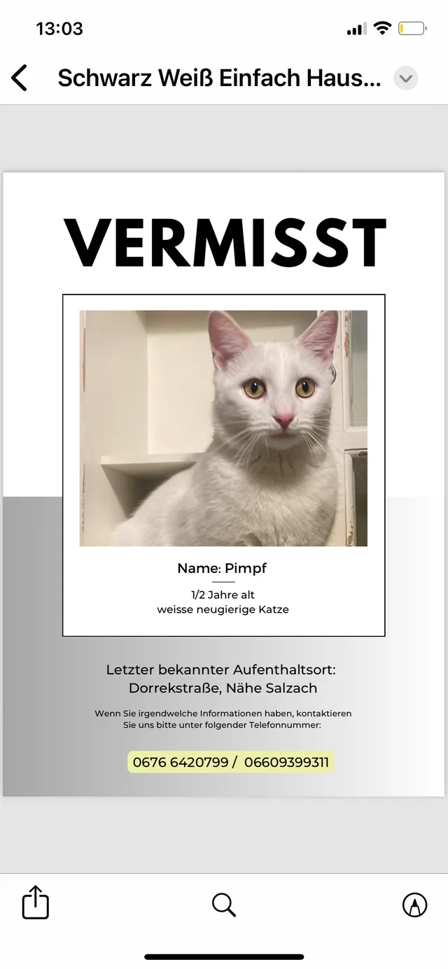 Pimpf/Burli - Dorrekstraße, Hallein