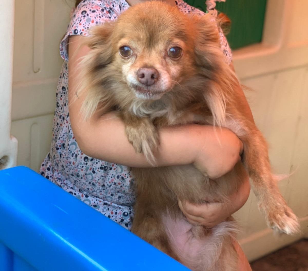 Vinco - Herebaan-Oost, Houthalen-Helchteren