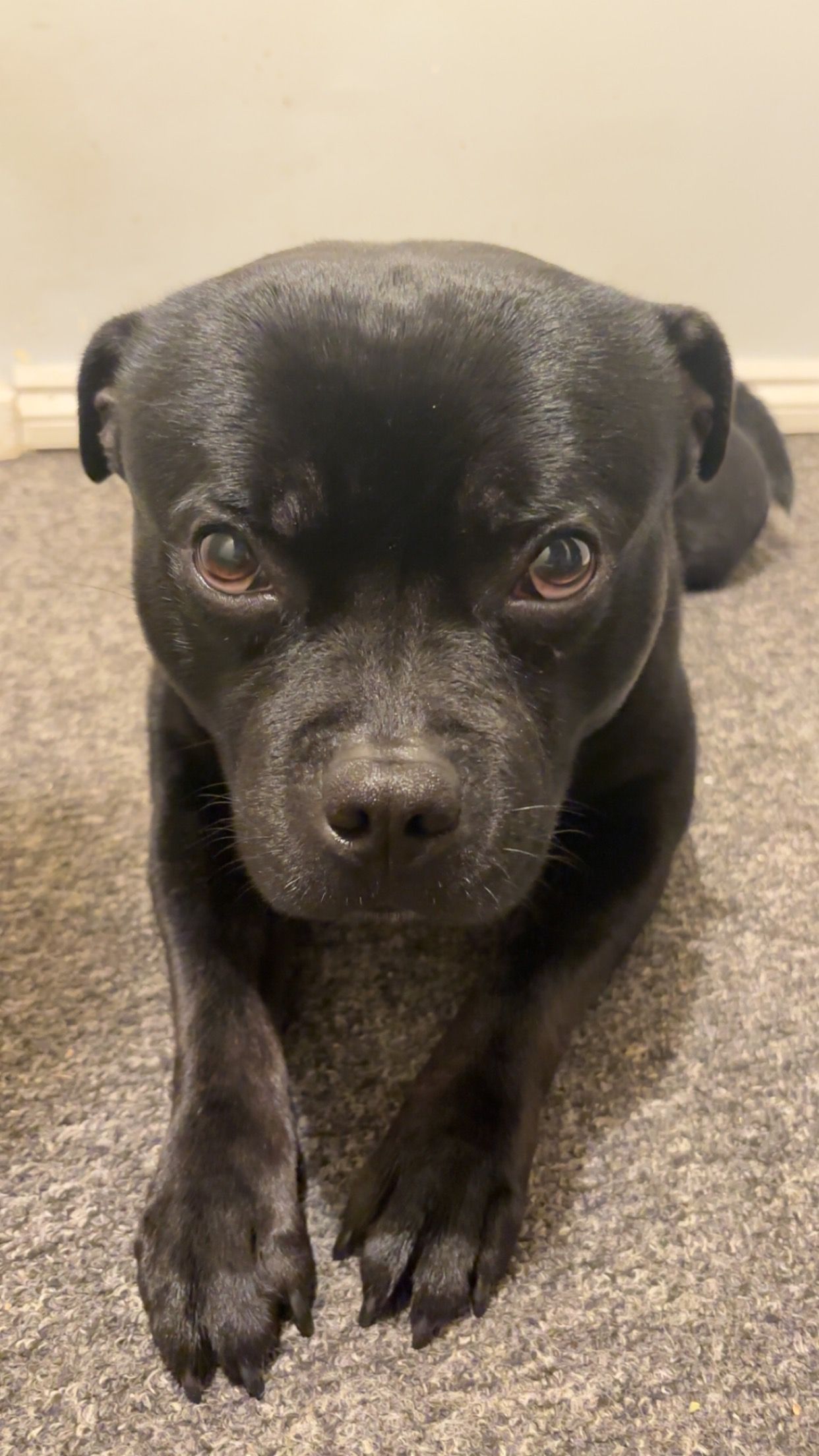 kastor - Rathbone Close, Birmingham