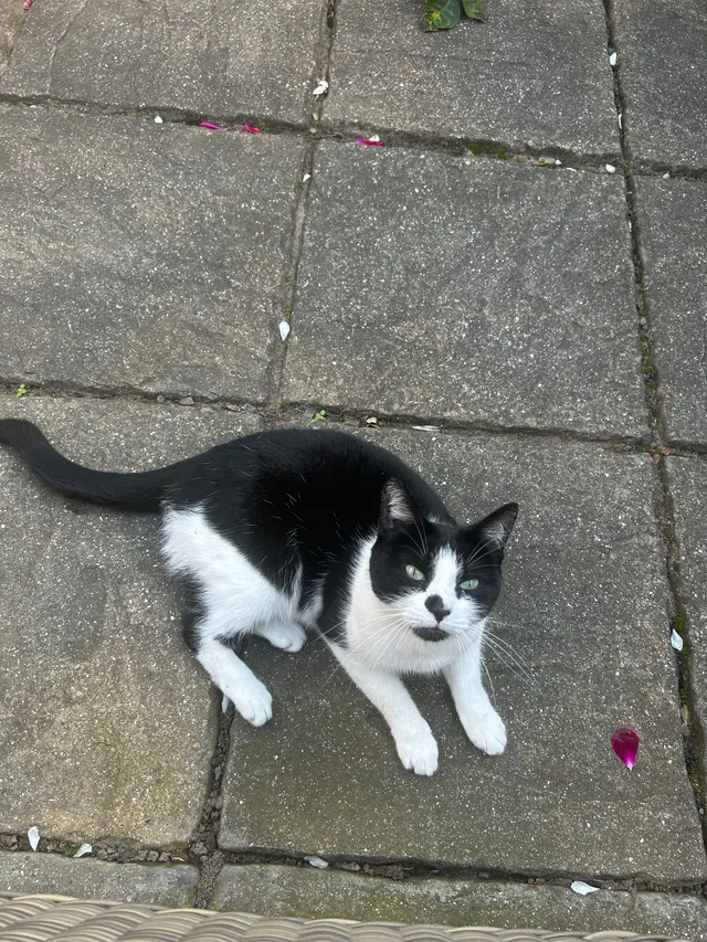 Princess - Greswold Street, West Bromwich