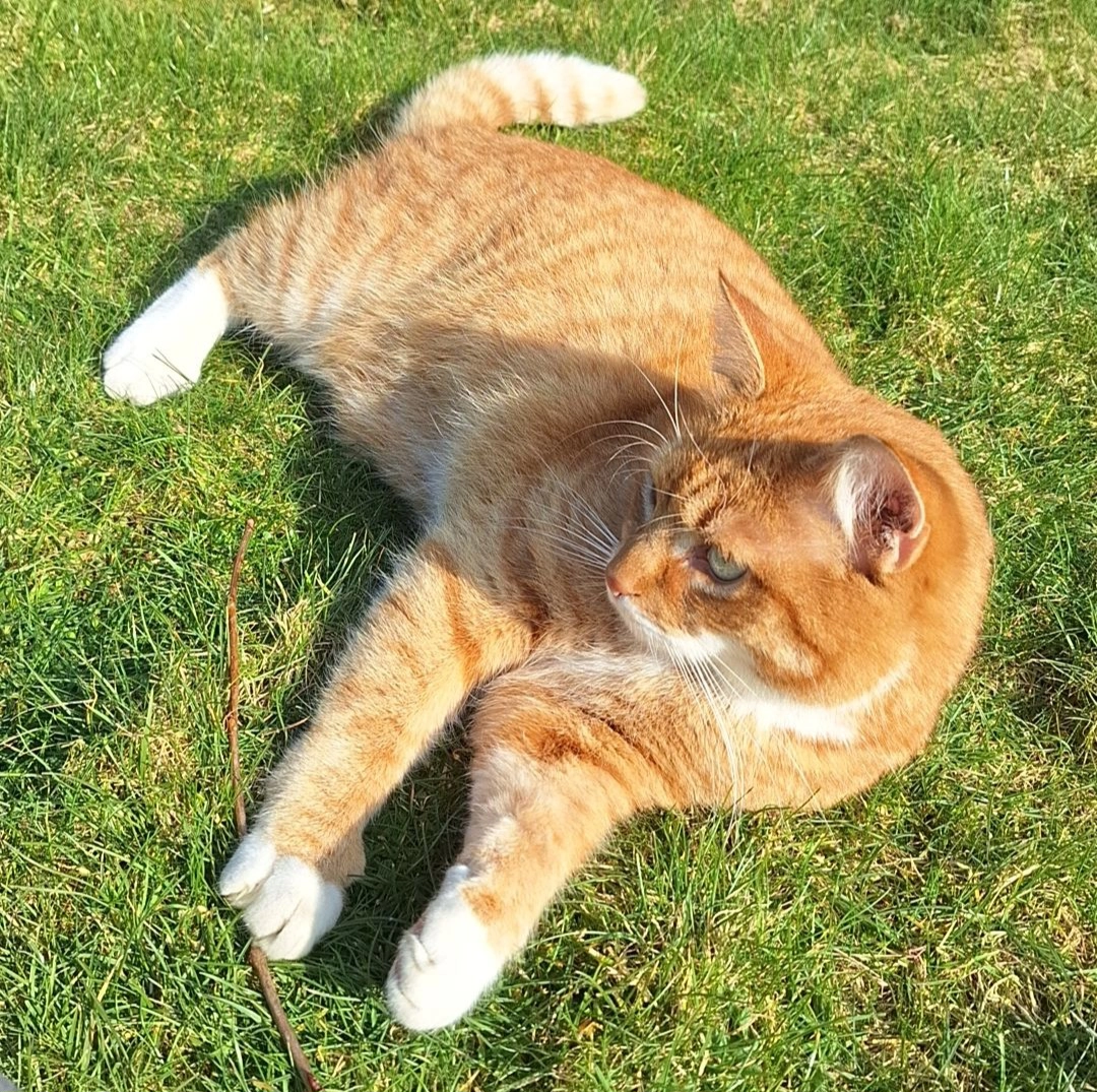 Lenny - Ostpreußenweg, Wathlingen