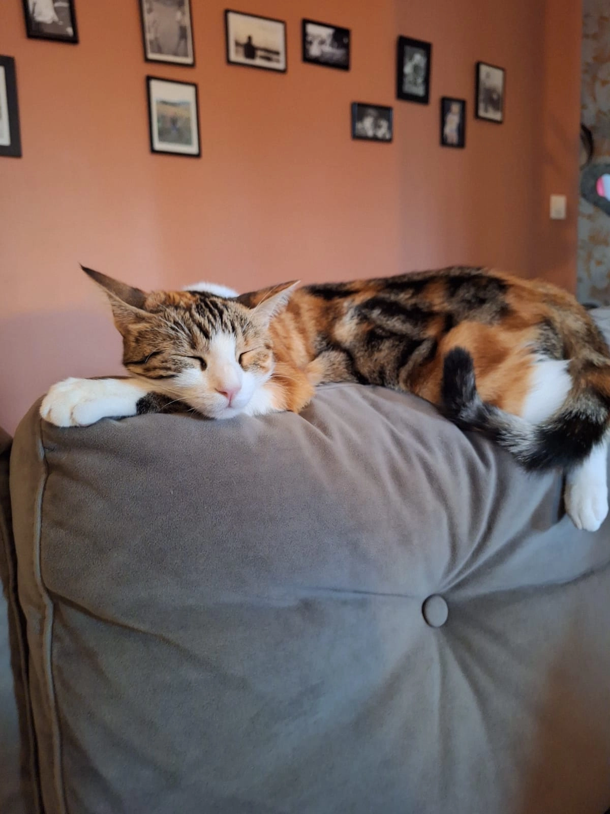 Brooklyn - Montée de l'Évêché, Nice