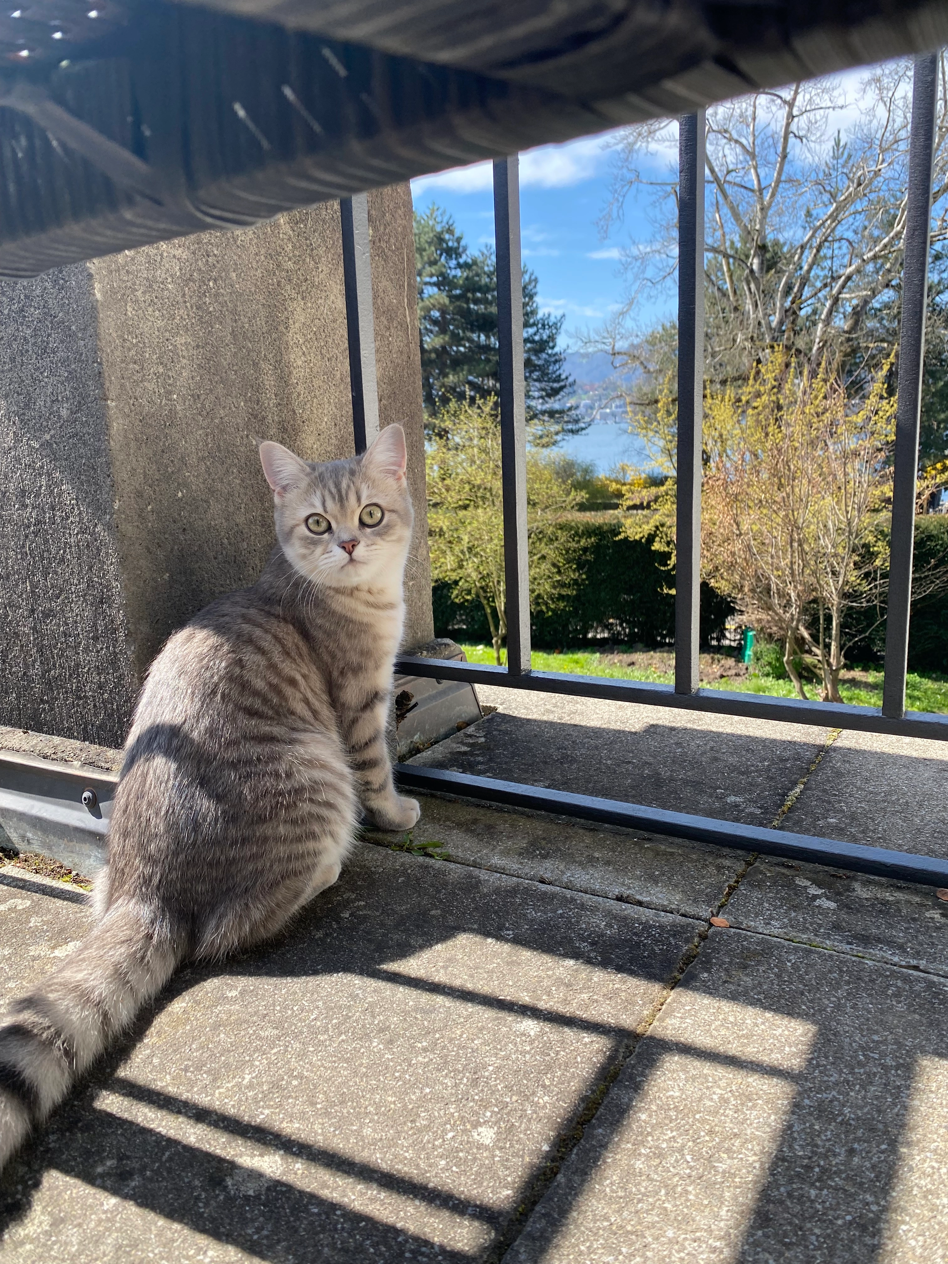 Luly - Seestrasse , ZH Küsnacht 8700